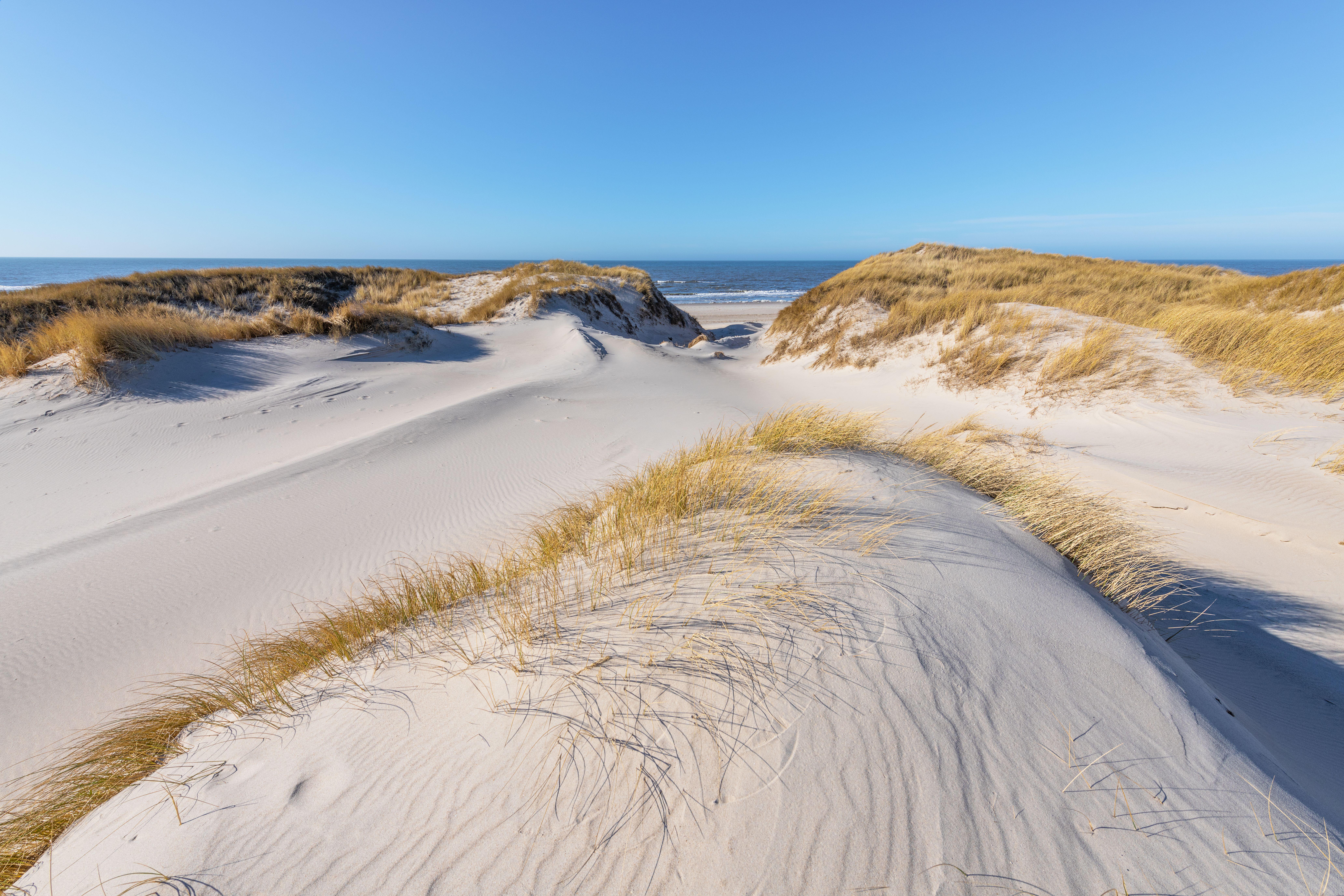 Denmark is blessed with beautiful sandy coastlines (Alamy/PA)