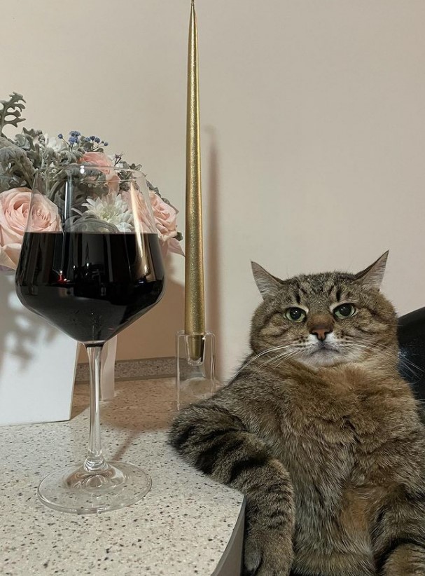 Stepan the cat sat next to a glass of red wine.