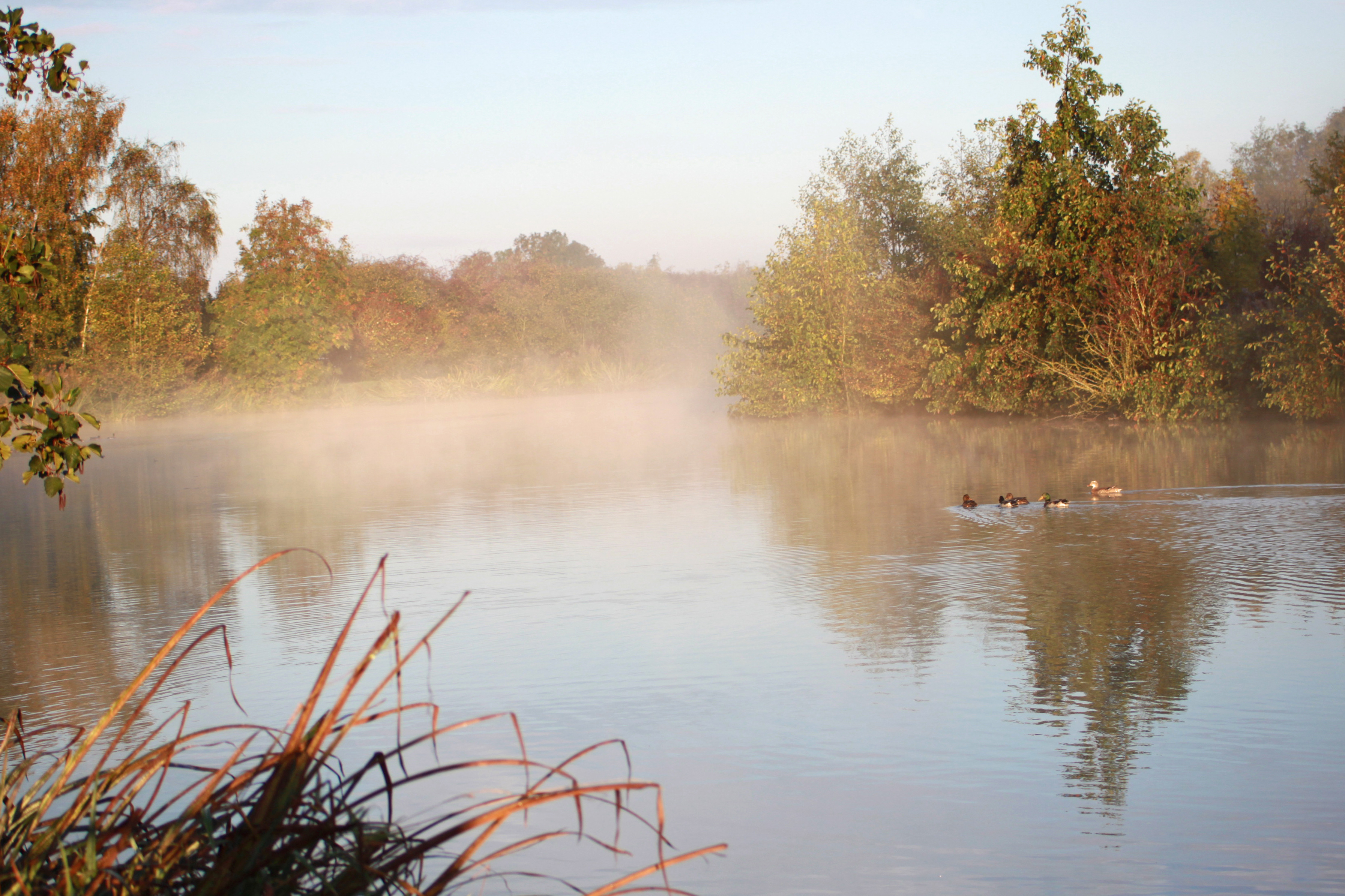 Brook Meadow lake