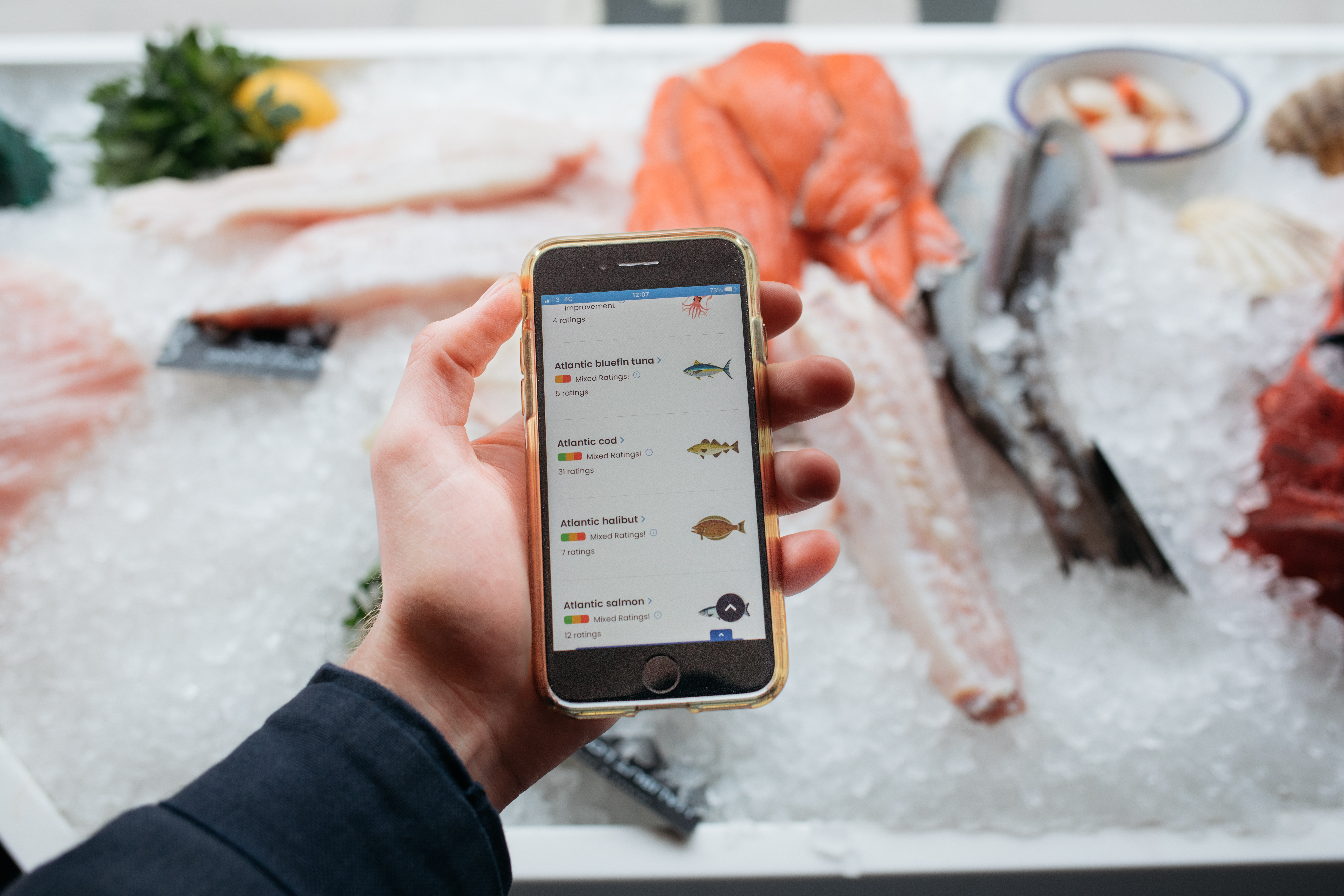 Using the Good Fish Guide at a fishmongers counter (MCS/PA)