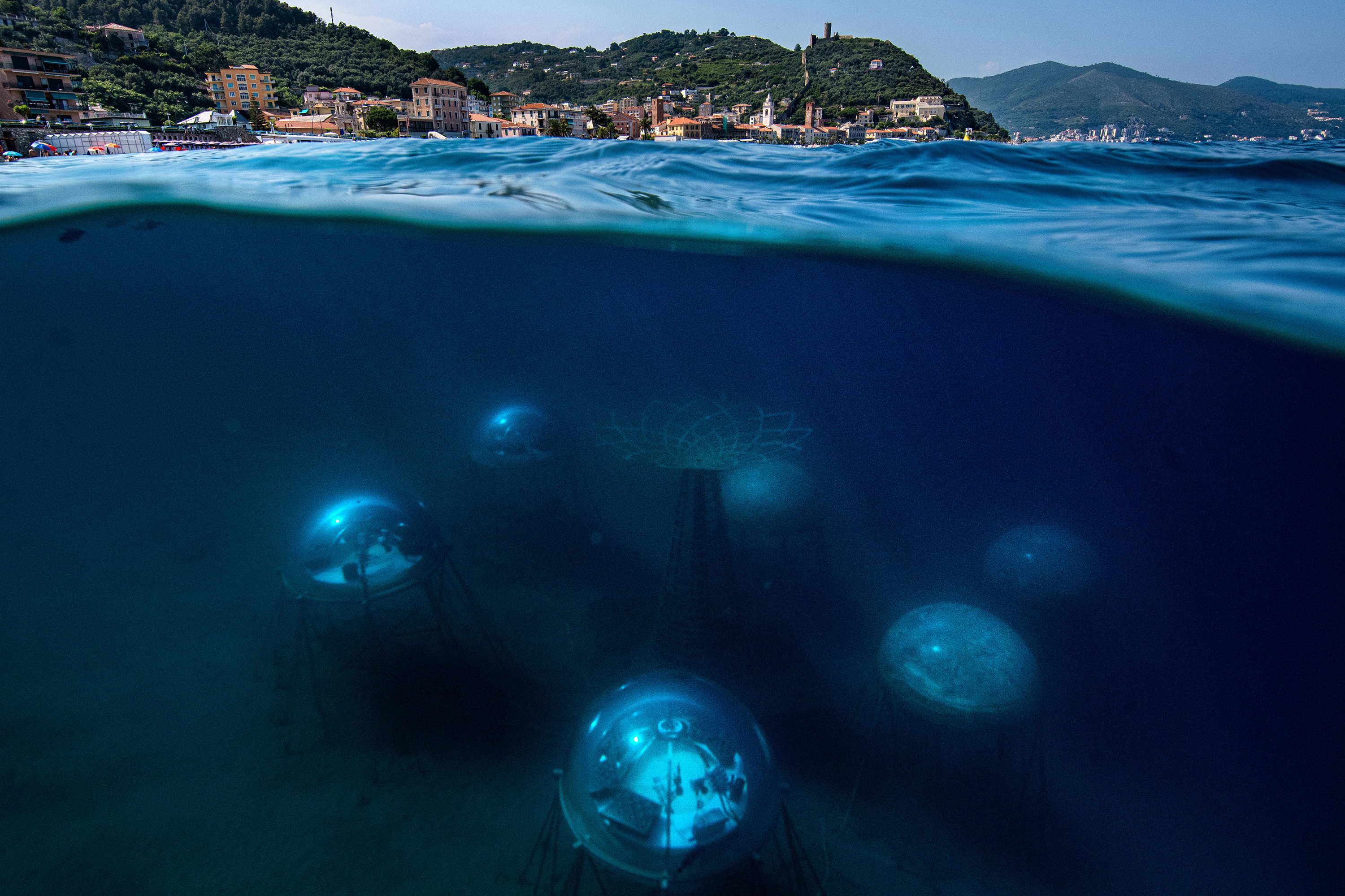 Underwater garden off Italian coast