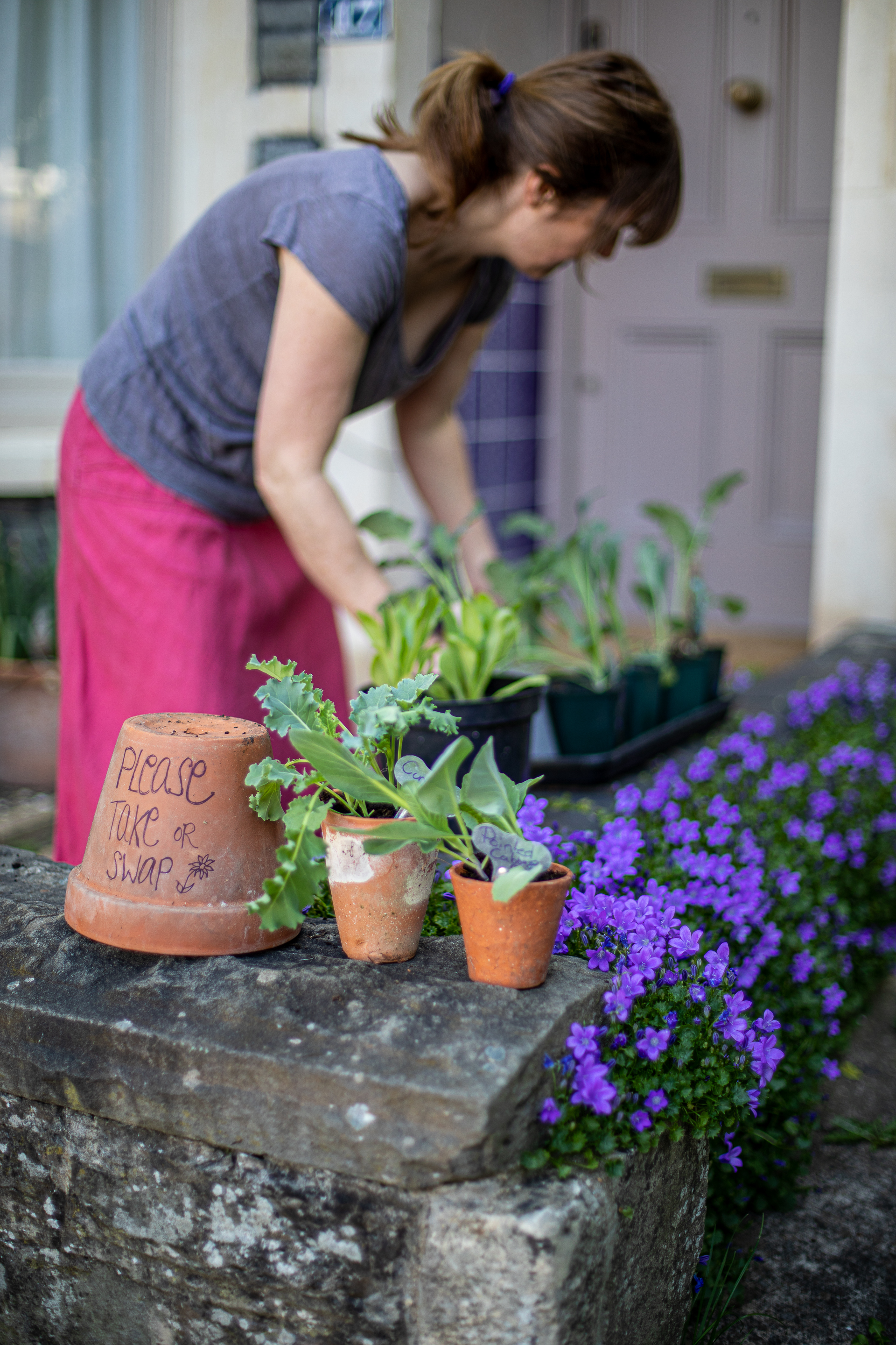 Swap or share your spare plants (Tory McTernan/PA)