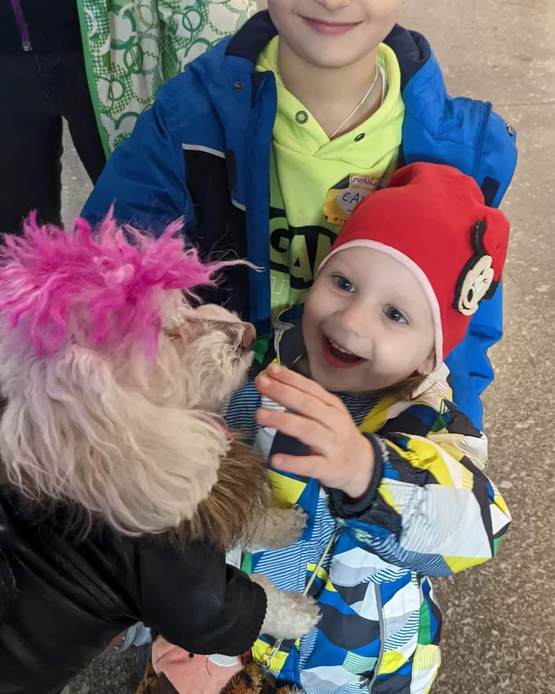 Juno the dog meets refugees in Poland