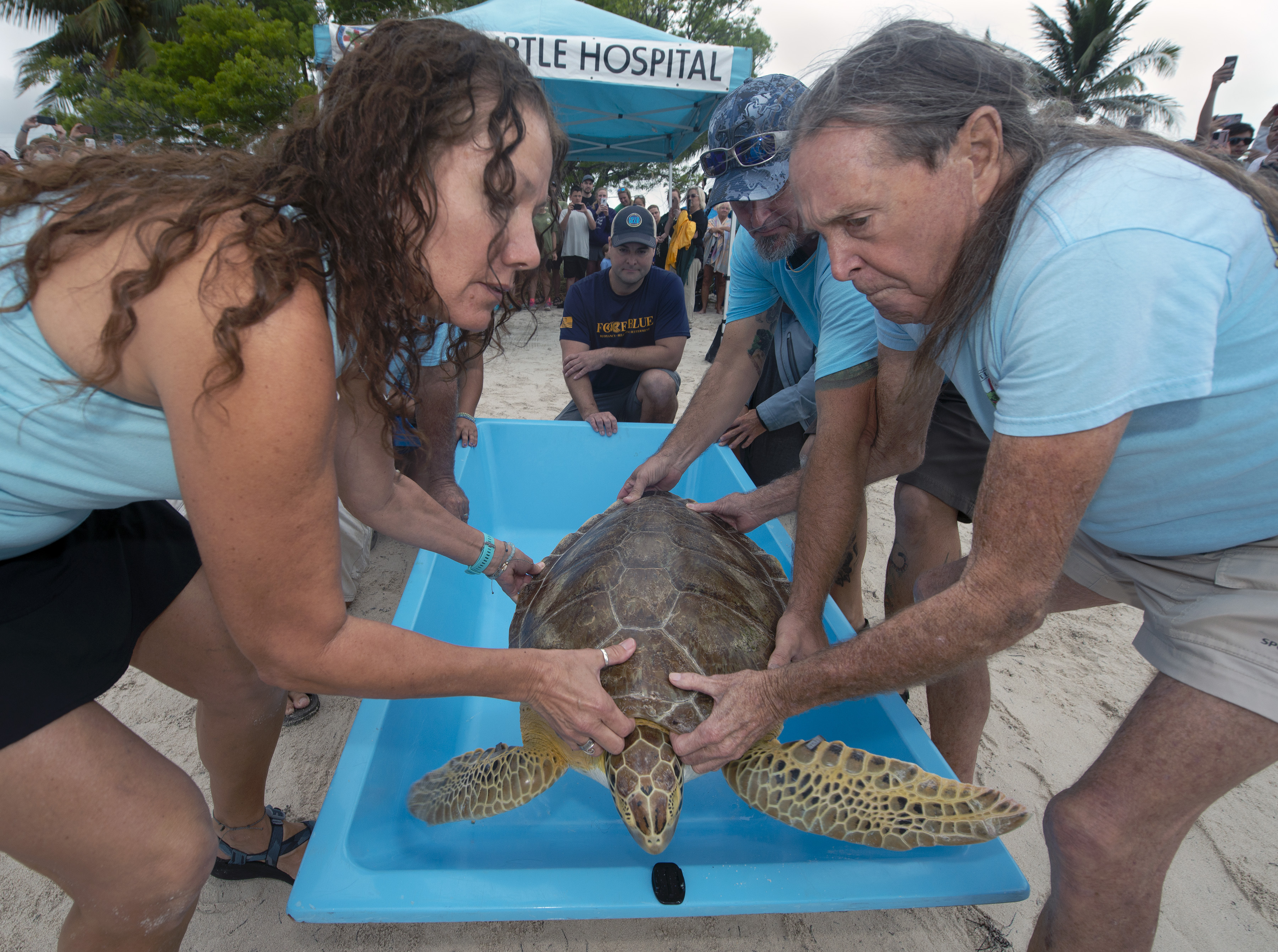 Bette Zirkelbach, left, manager of the Florida Keys-based Turtle Hospital, and hospital founder Richie Moretti, right, remove TJ Sharp, a juvenile green sea turtle, from a carrying tray before releasing the reptile into the ocean in honour of Earth Day in Marathon, Florida