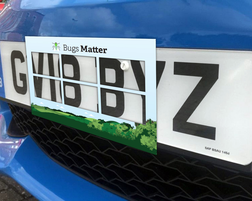 The 'splatometer' used in the survey on a number plate (Buglife/PA)