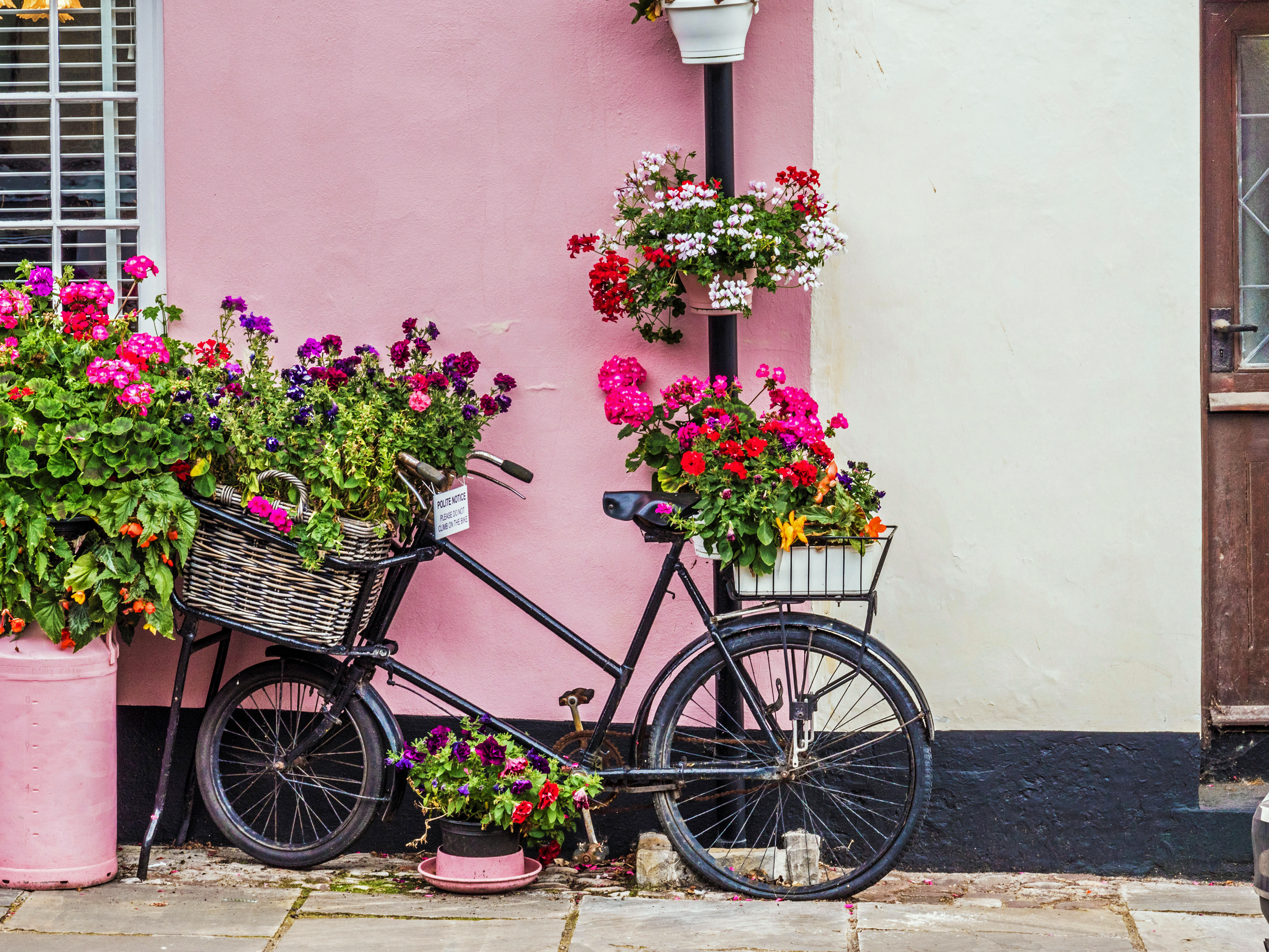 An old bike is upcycled as a plant stand (Alamy/PA)