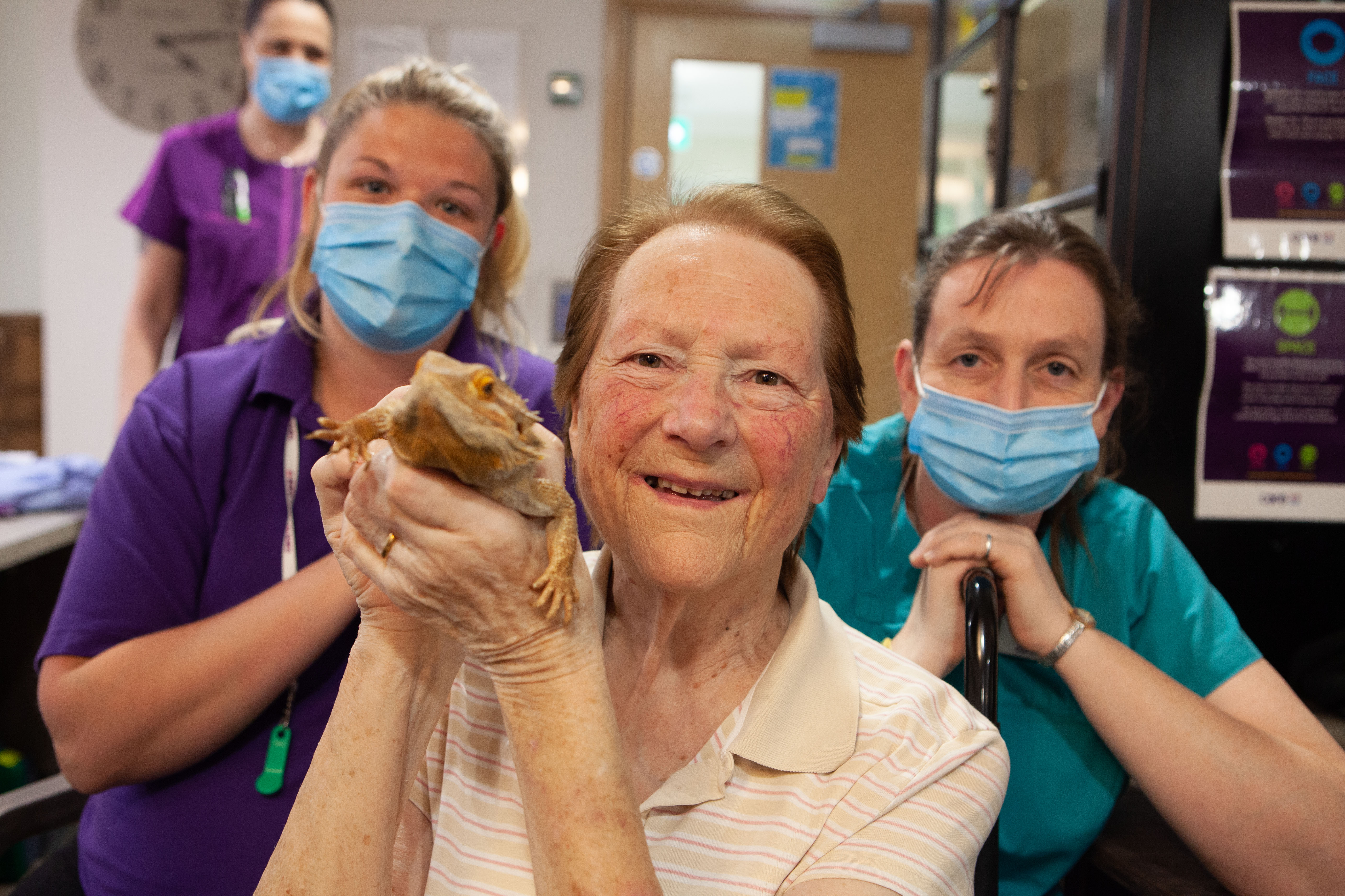 Care home resident Pauline holding a bearded dragon