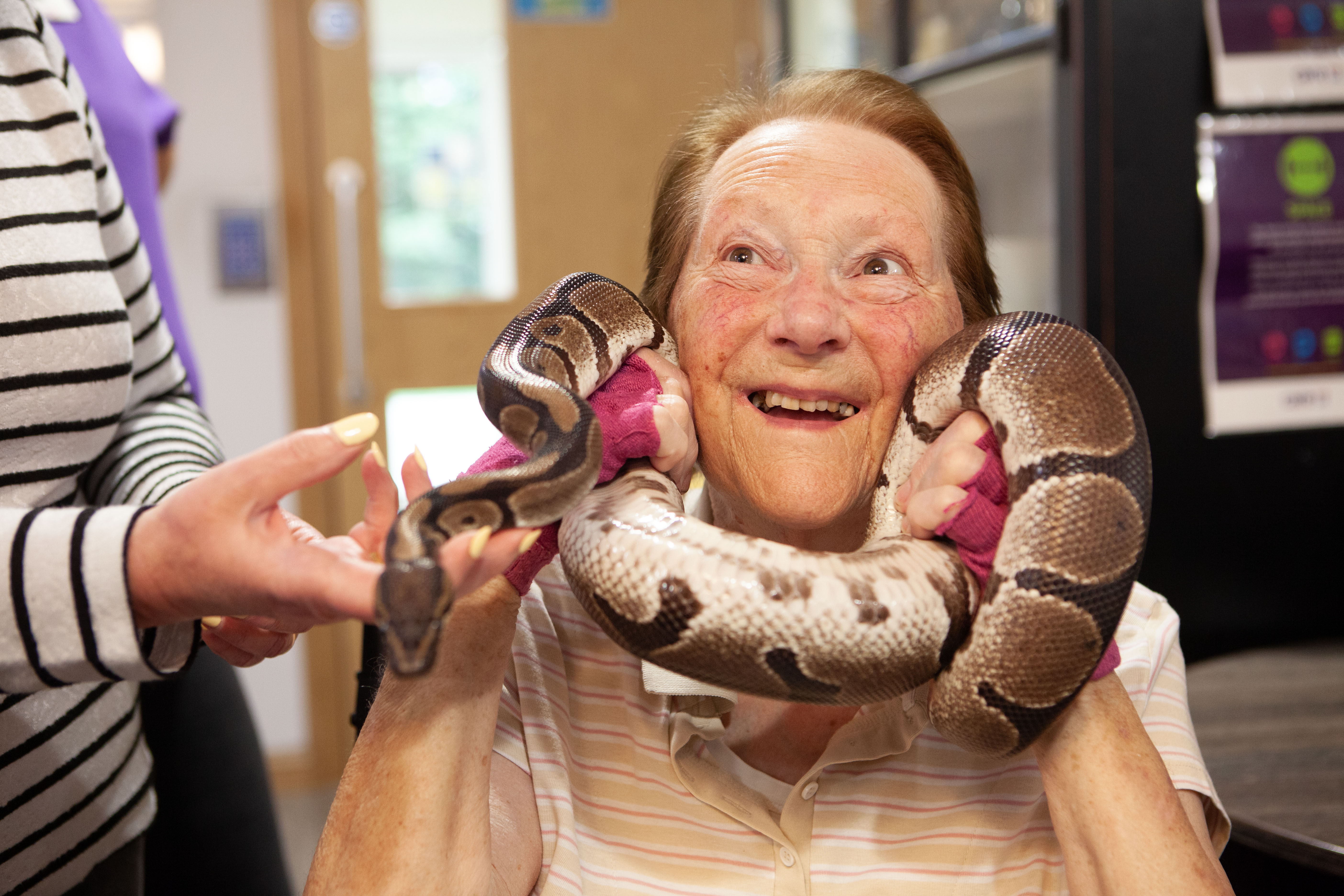 Care home resident Pauline holding a python