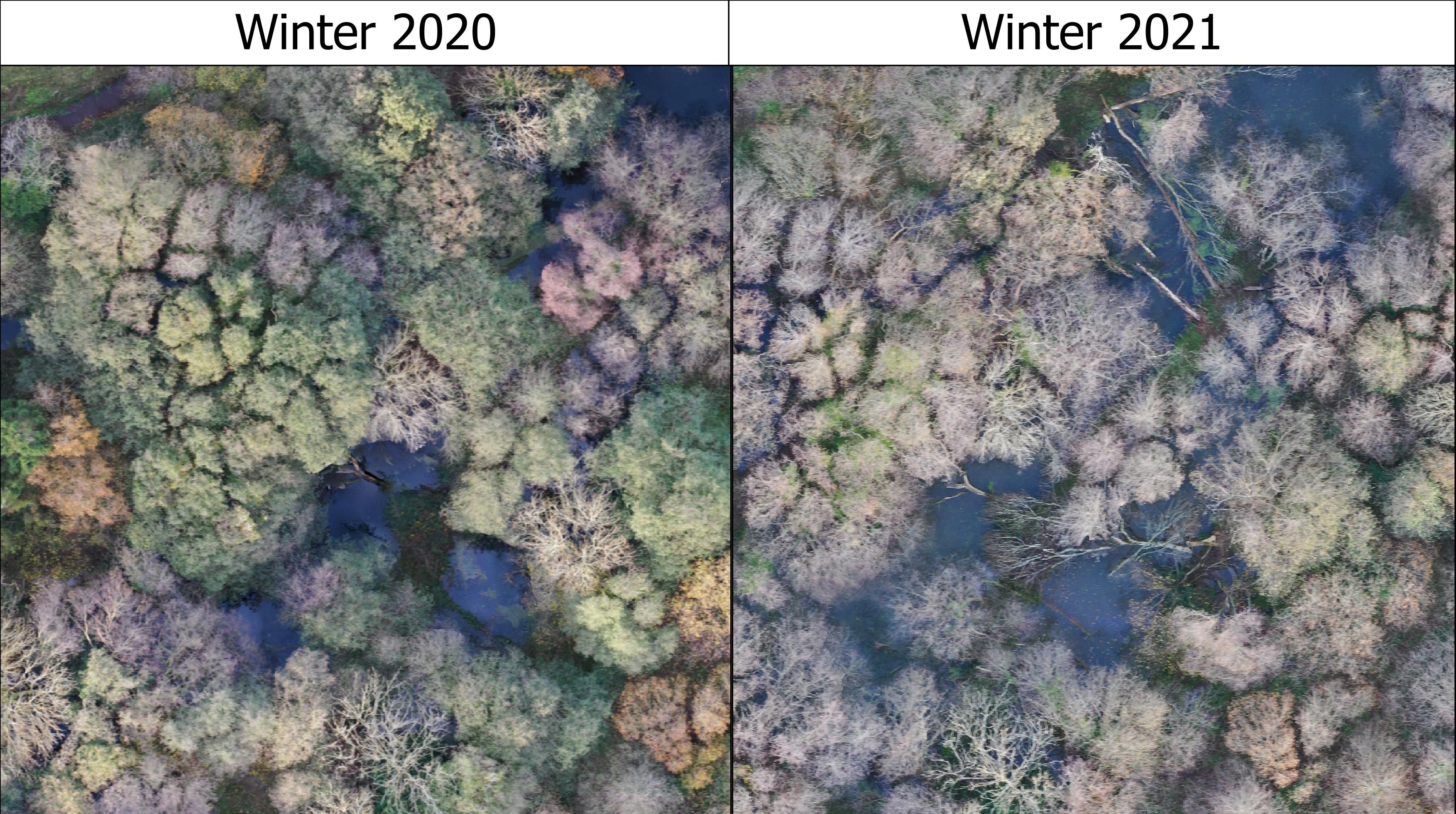 Changes in the habitat at Holnicote