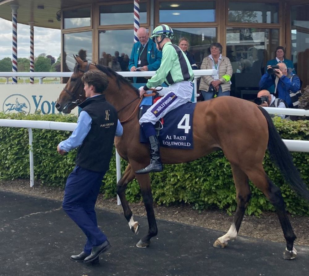 El Bodegon before running in the Dante Stakes 