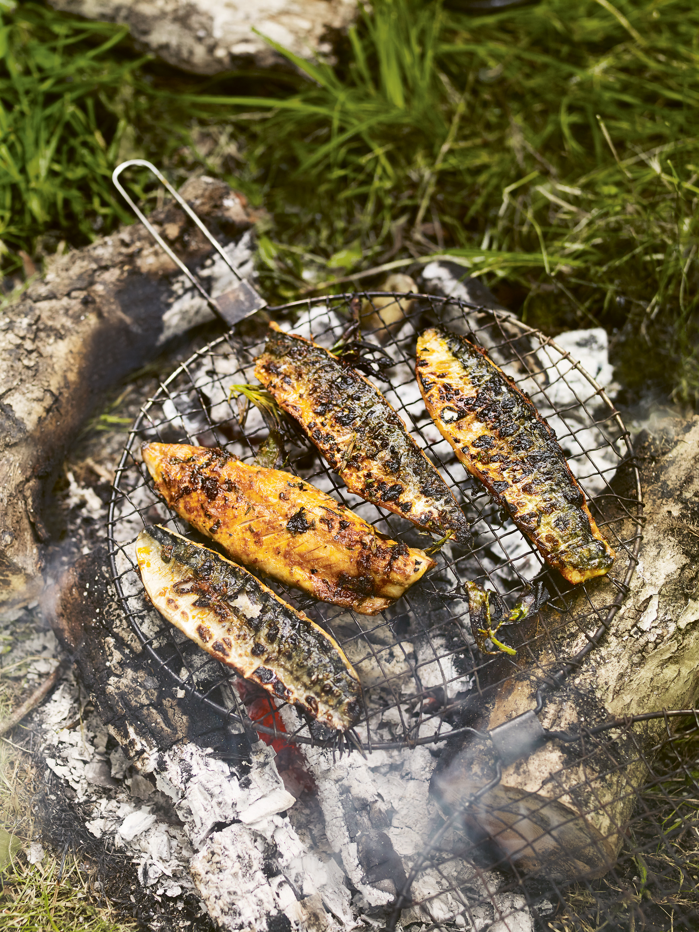 Grilled mackerel with lemon, smoked paprika, oregano and black pepper from Outside 