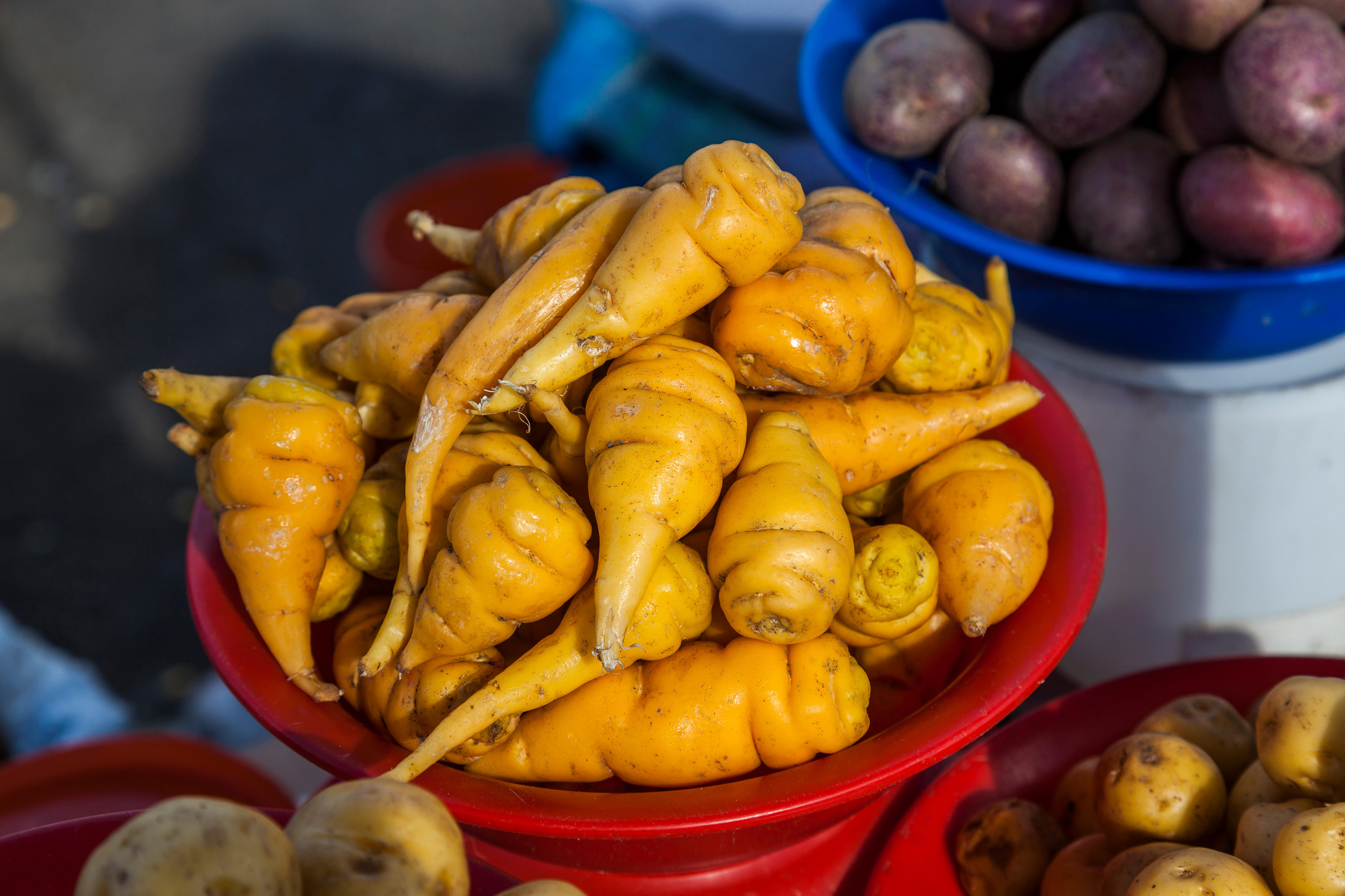 Mashua (Alamy/PA)