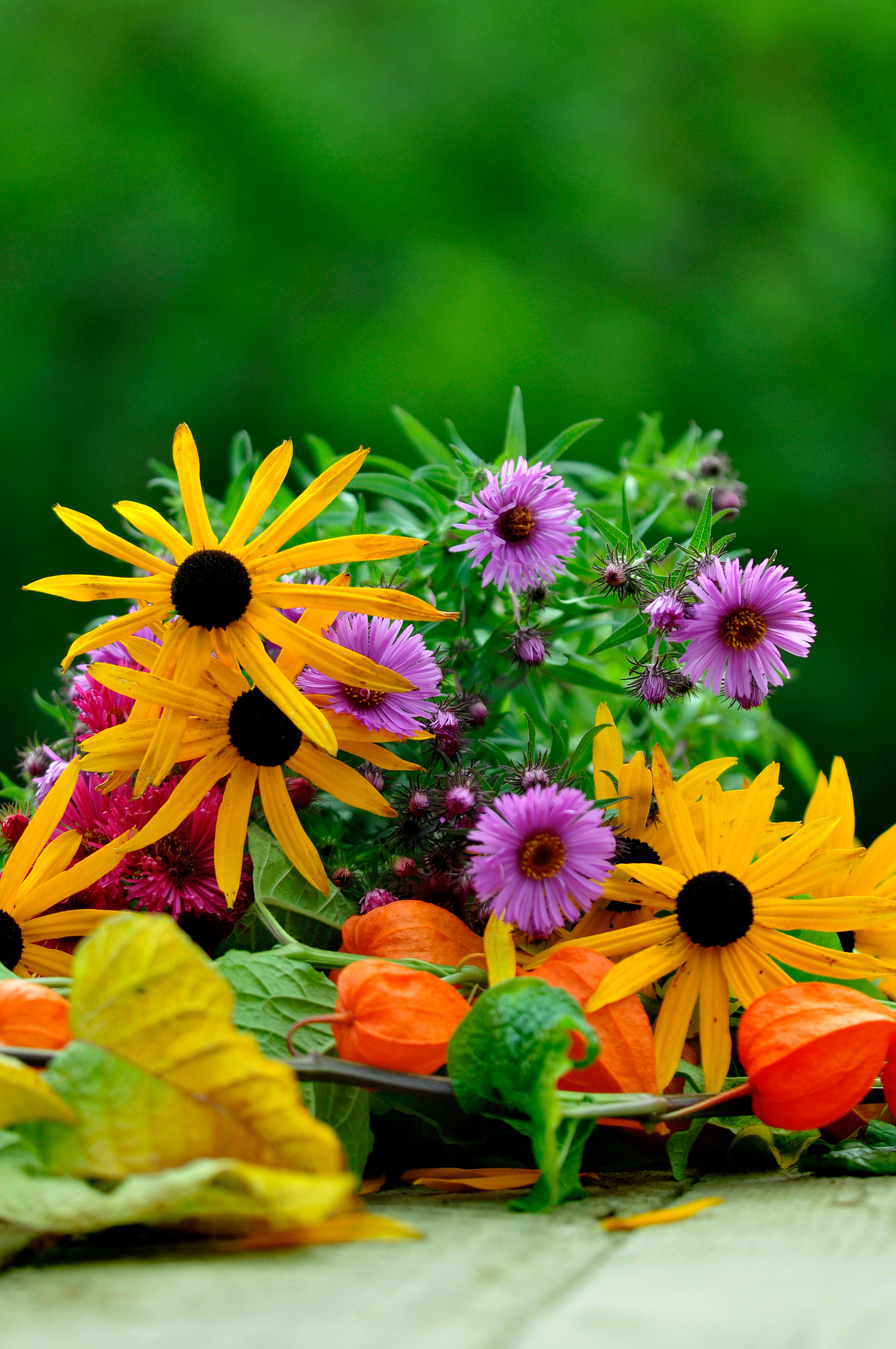 Yellow rudbeckias and other cut flowers in autumn (Alamy/PA)