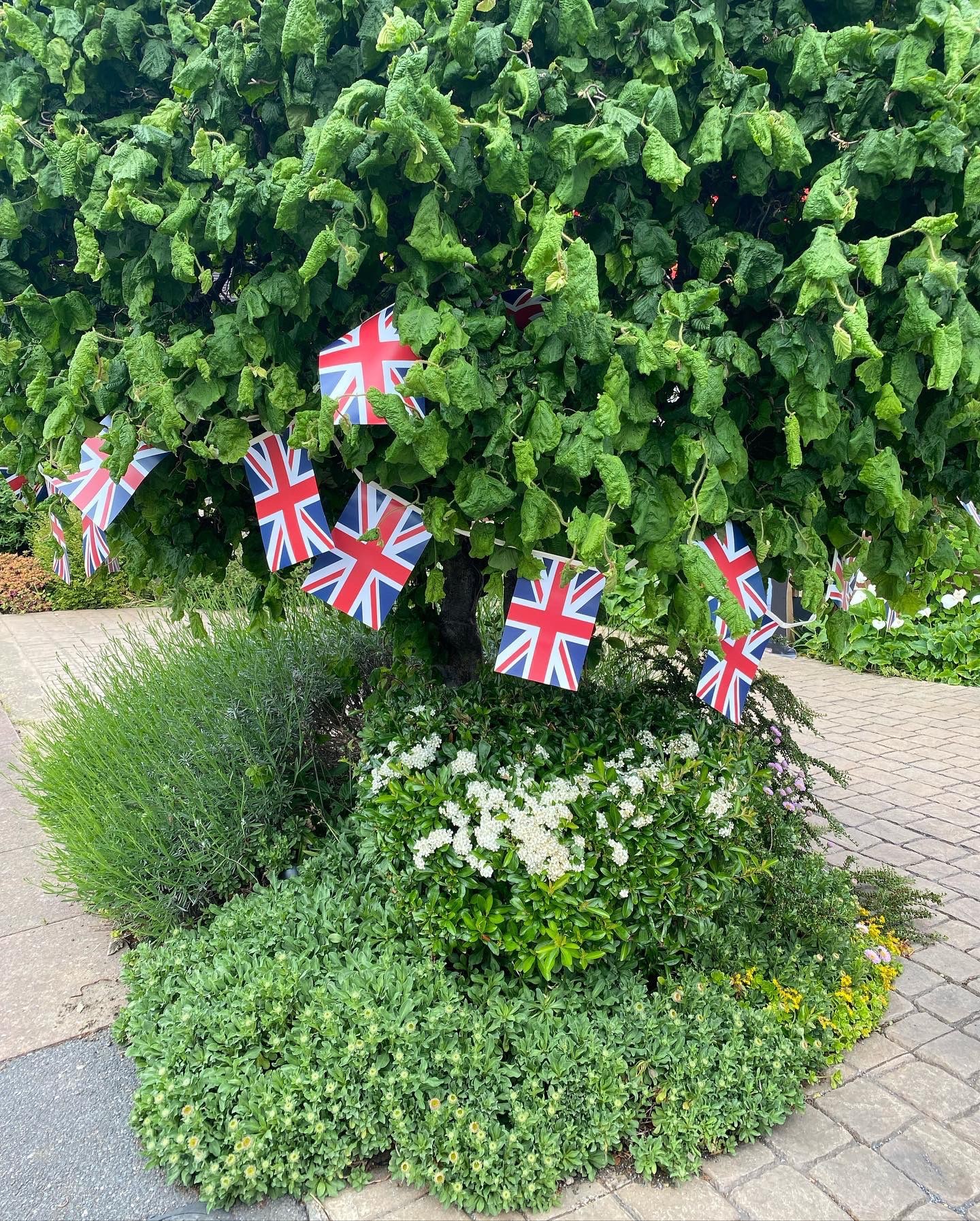 Platinum Jubilee decorations in Bromley, south London (Athina Georgiou)