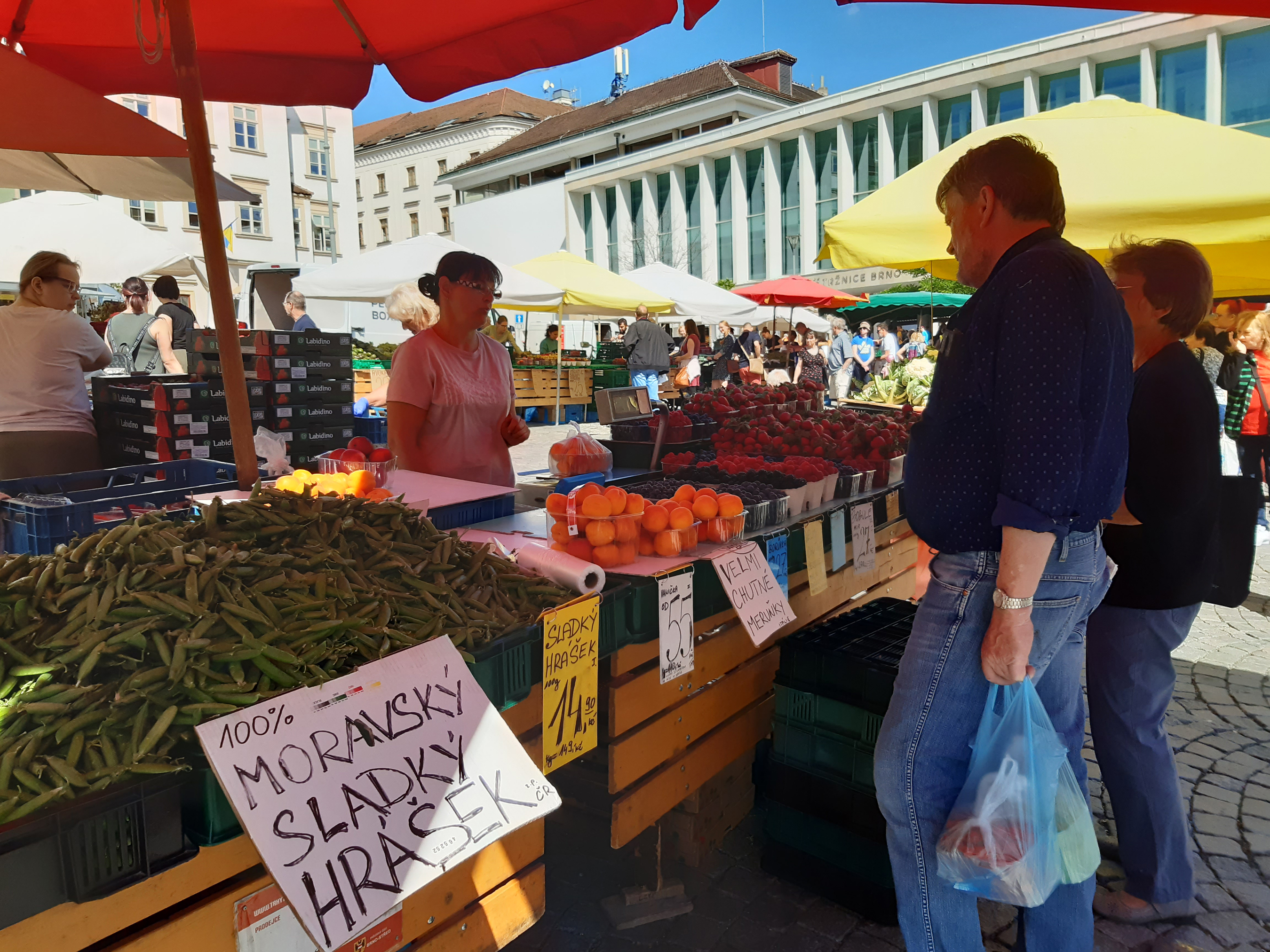 Farmers and stallholders sell their fruit, veg and flowers at a daily market in the centre of Brno (Chris Wiltshire/PA)