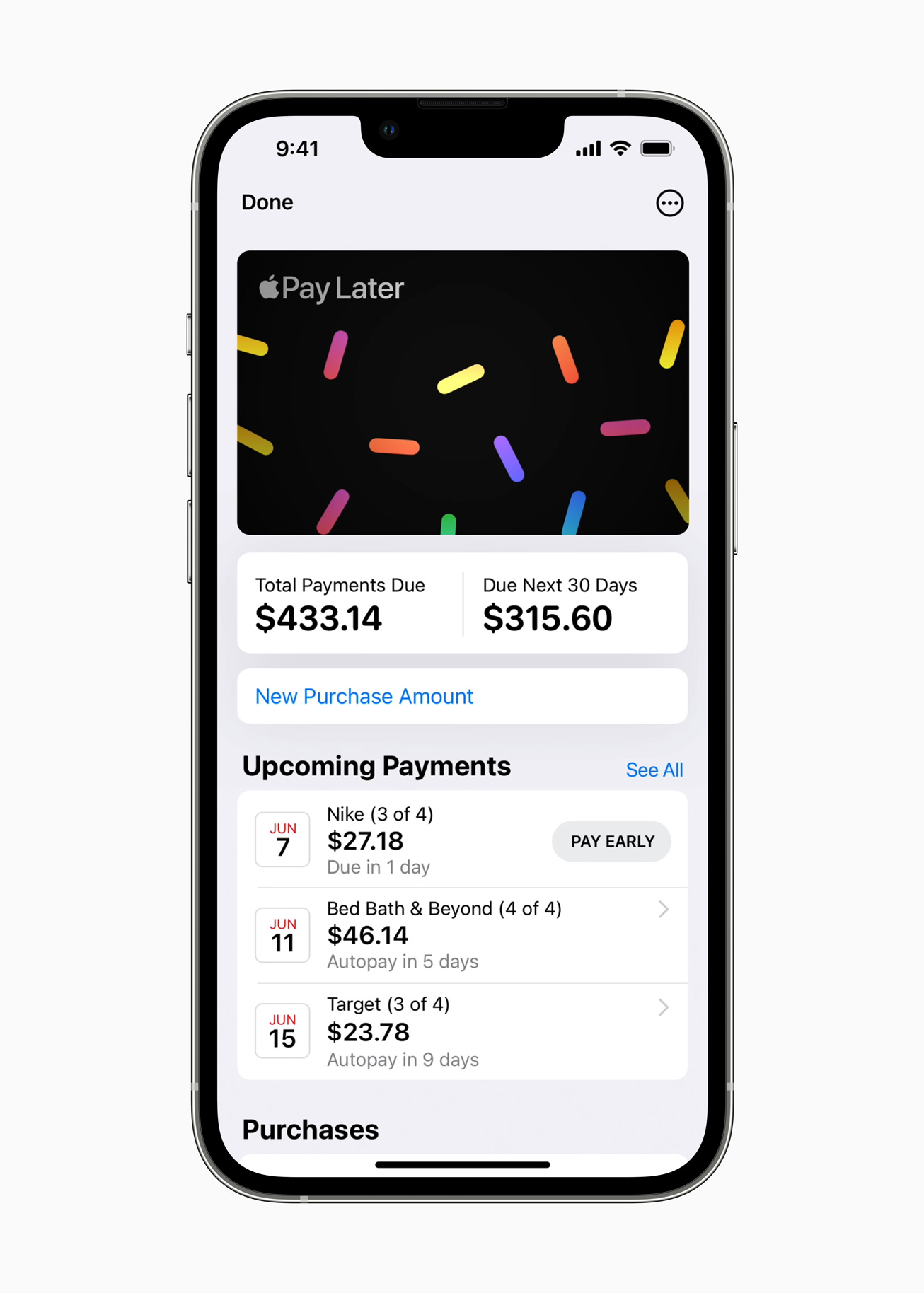 Apple Pay Later feature on an iPhone