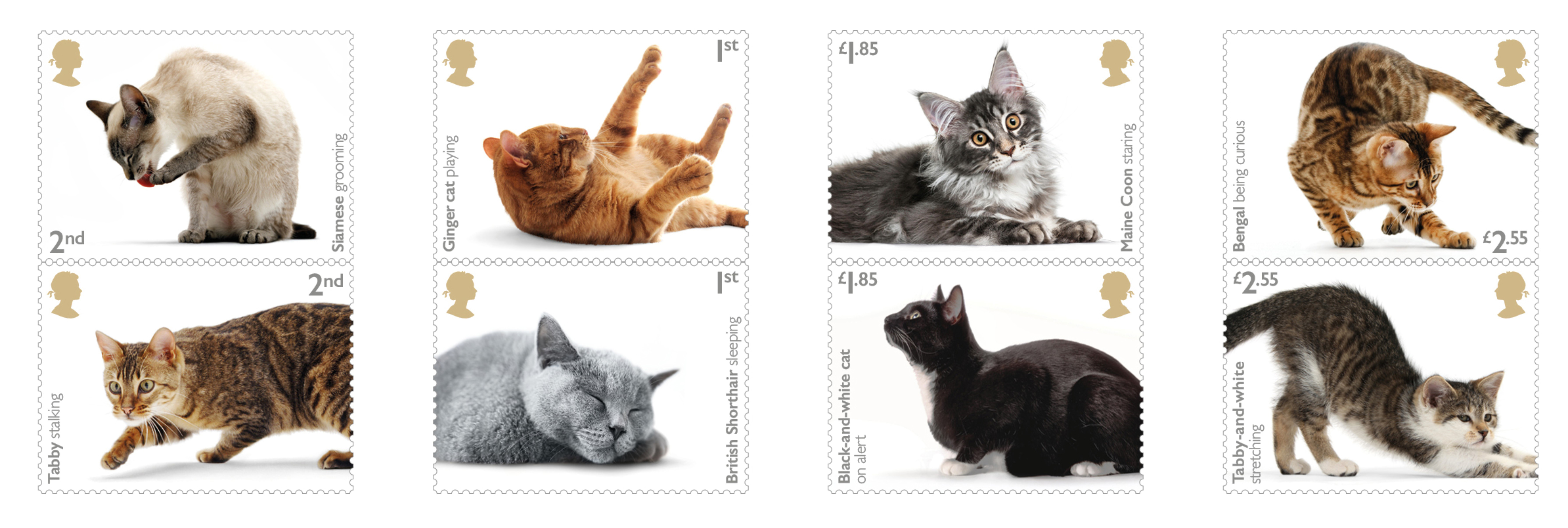 Purr-fect! New stamps capture cat quirks | Bournemouth Echo 