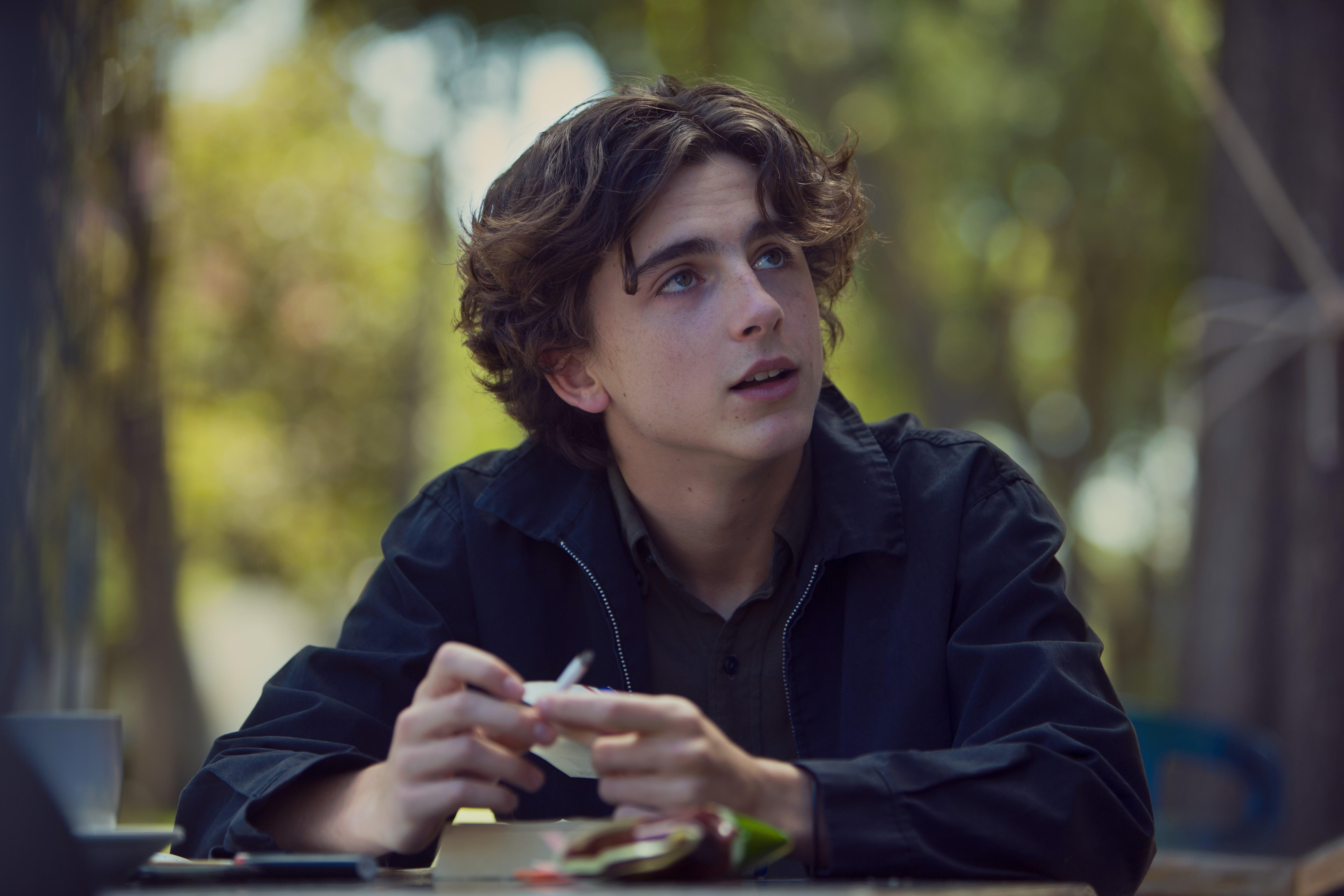 Timothee Chalamet in Lady Bird