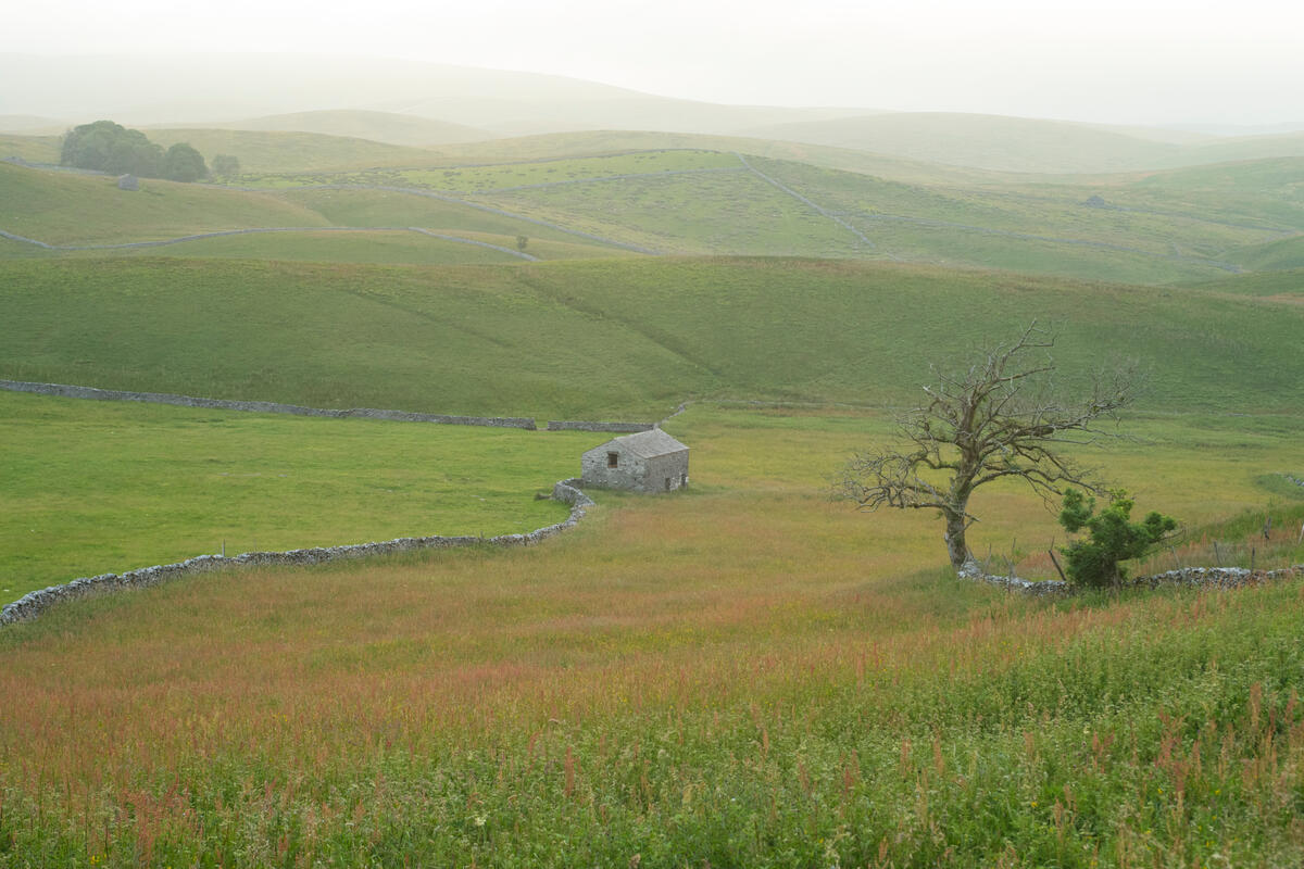 Mist shrouded landscape scene showing the contrast between heavily grazed land (at left) and ground left more natural, in Yorkshire (Andrew Parkinson/WWF-UK/PA)