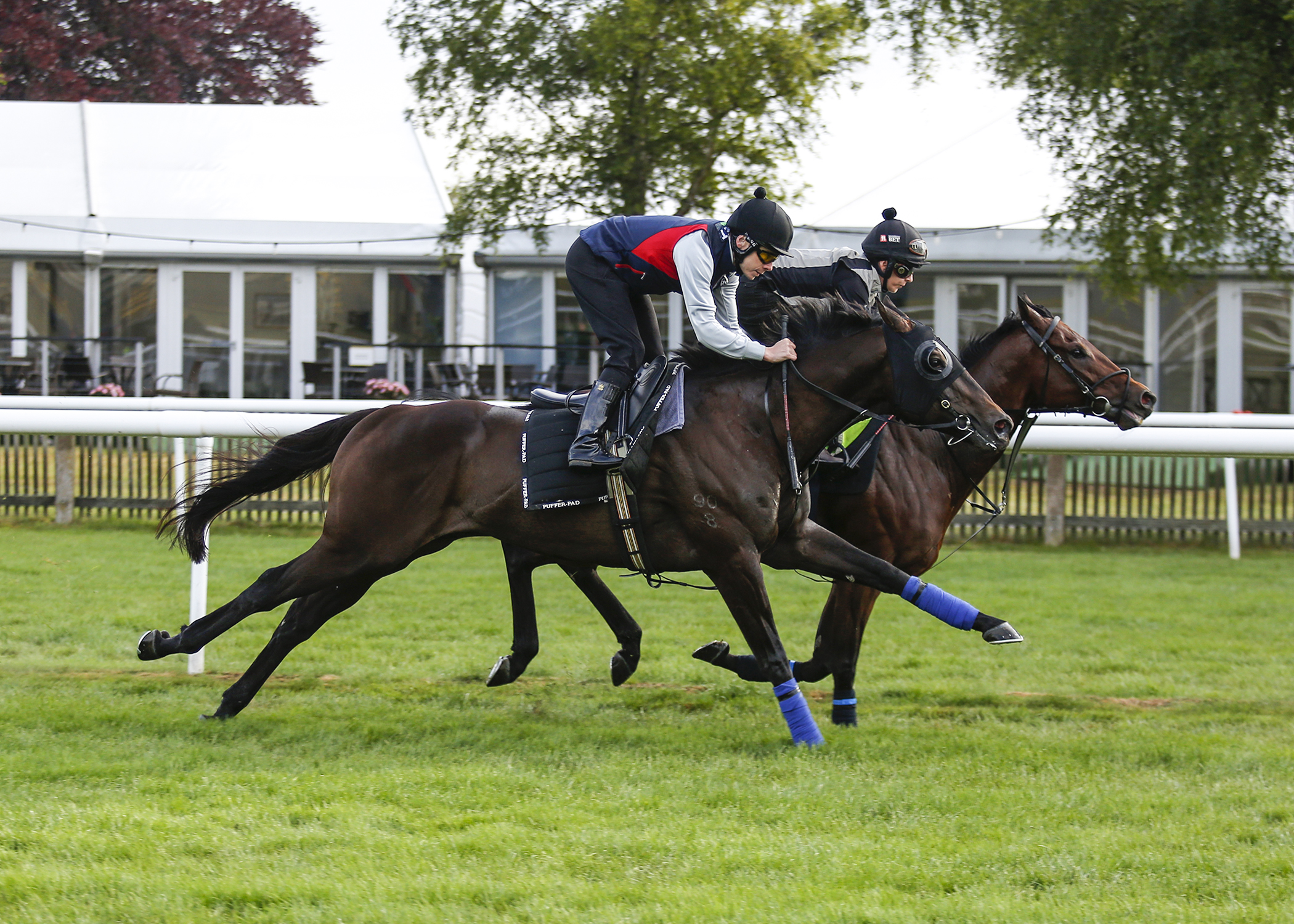 Artorius went through his paces on the July Course before the July Cup