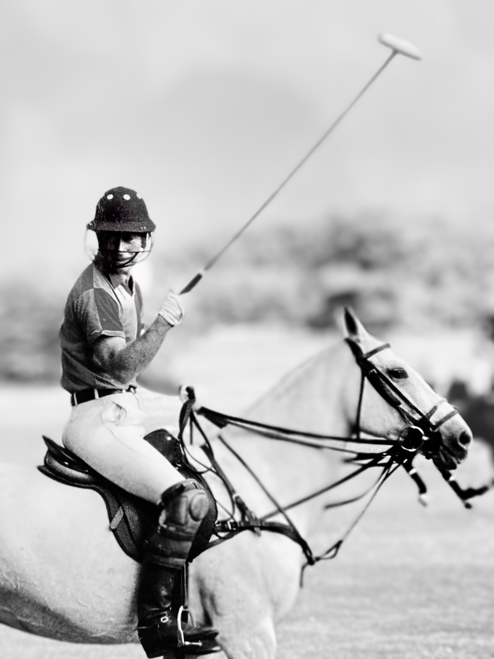 The Prince of Wales playing polo by Gilbert from London in the 1980s 
