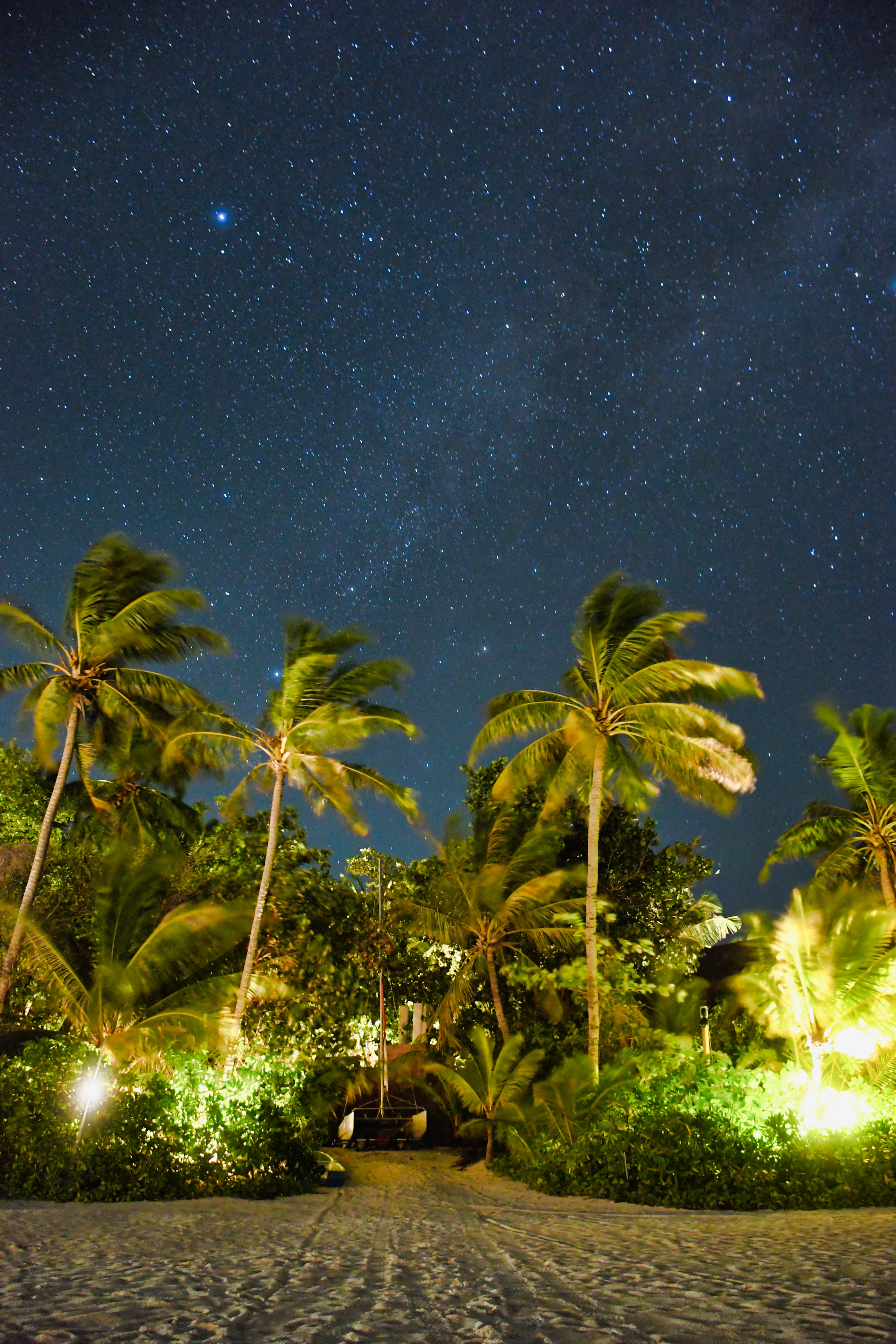 The starry night sky seen above palm trees fringing the beach on Milaidhoo island (Valerie Stimac)