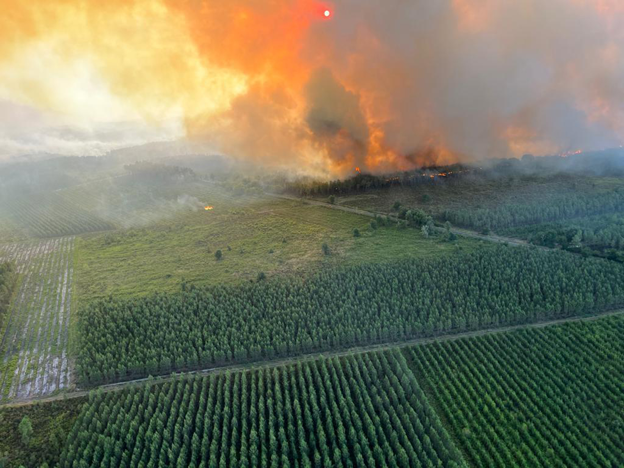 A field on fire