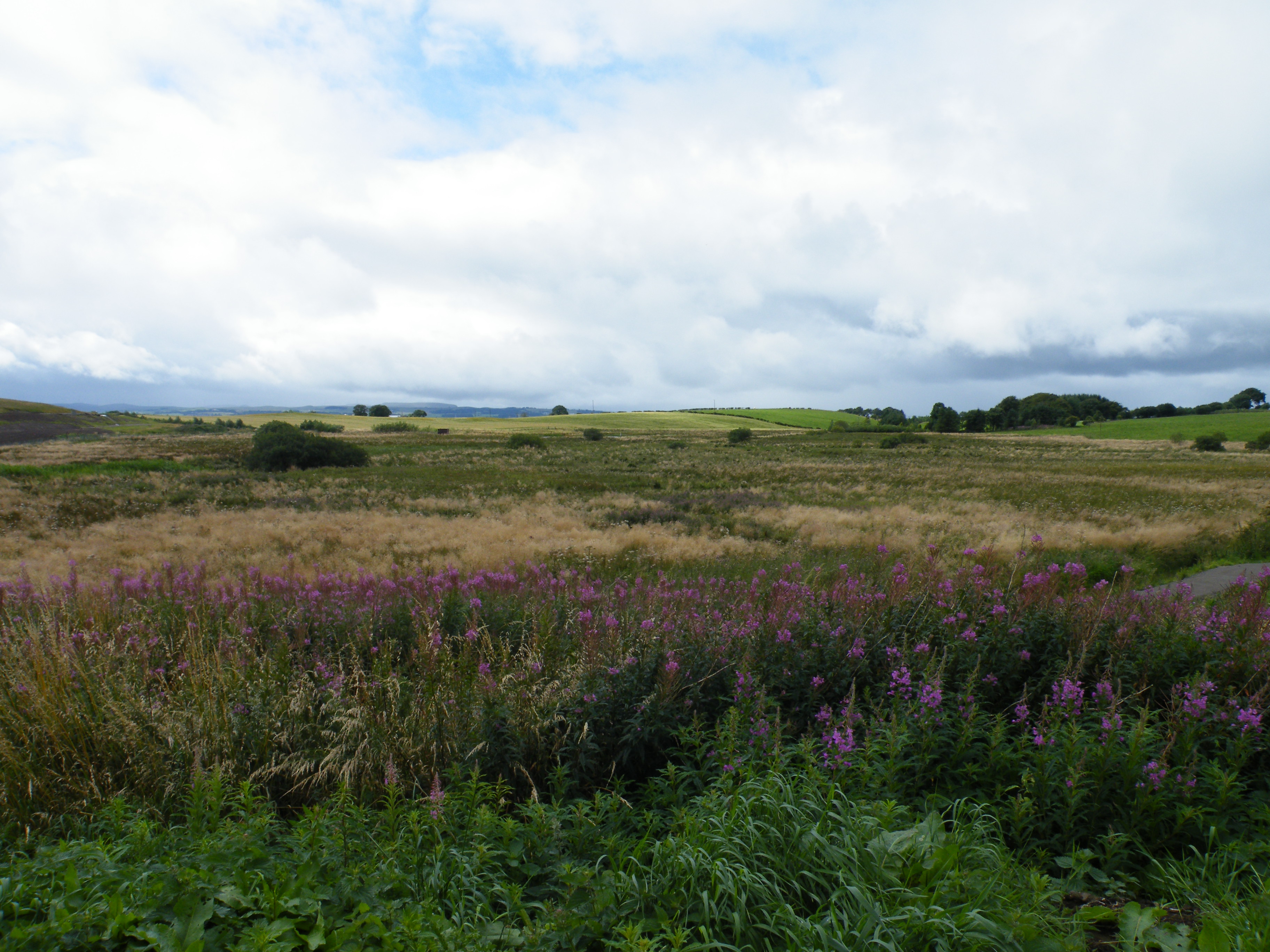 Cathkin Marsh