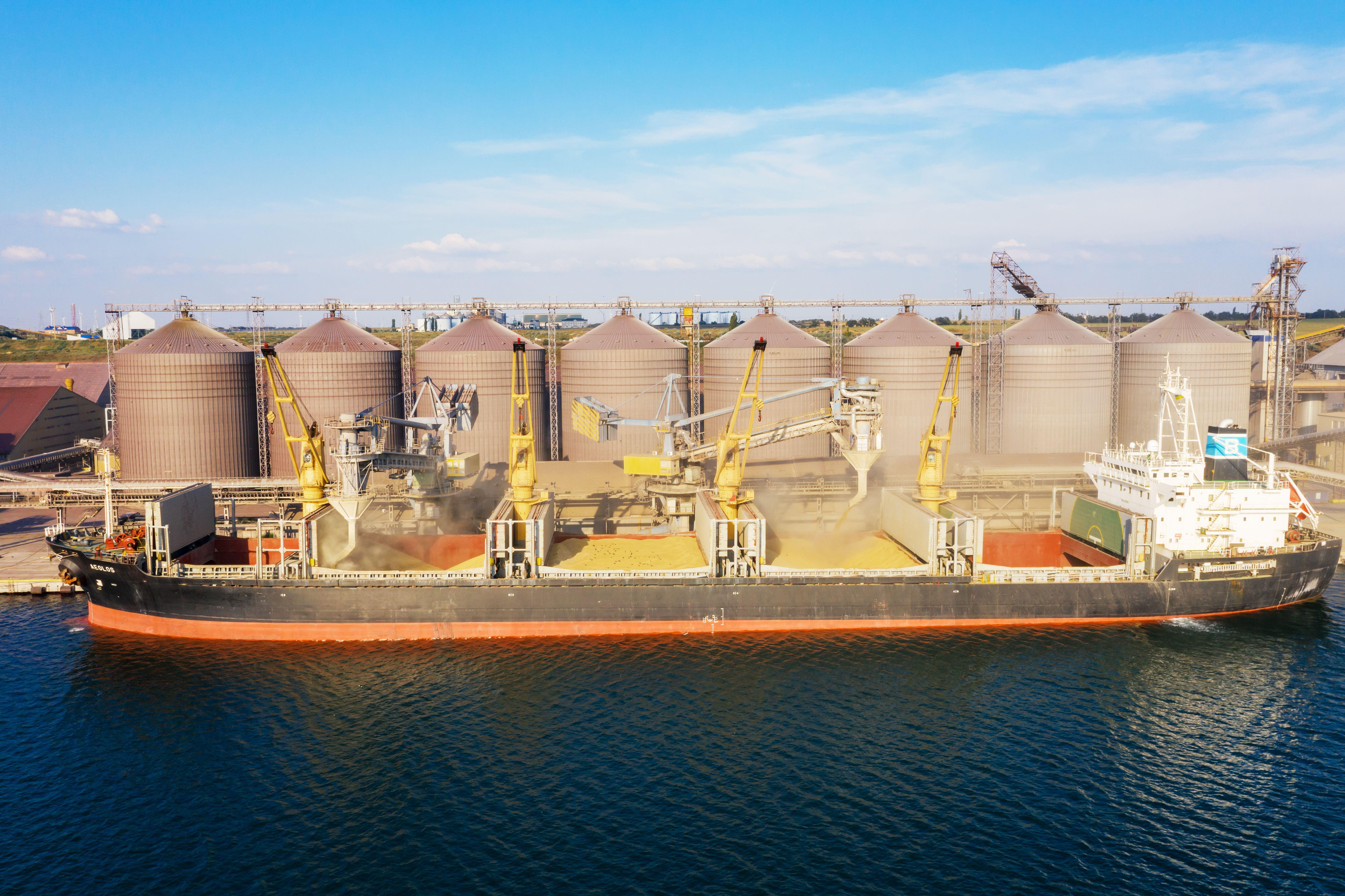 Loading grain into holds of sea cargo vessel in Odessa, Ukraine