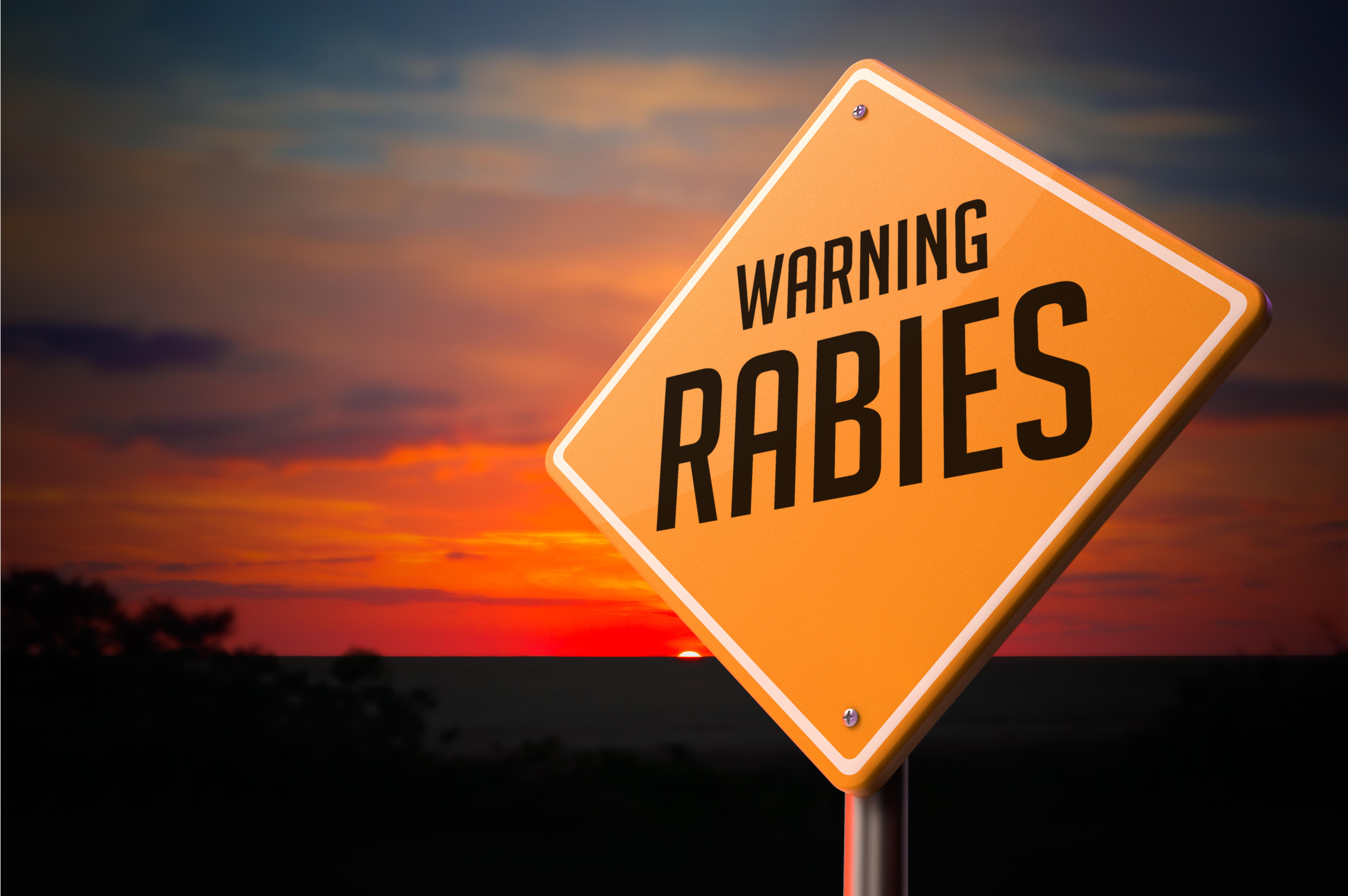 Rabies warning sign
