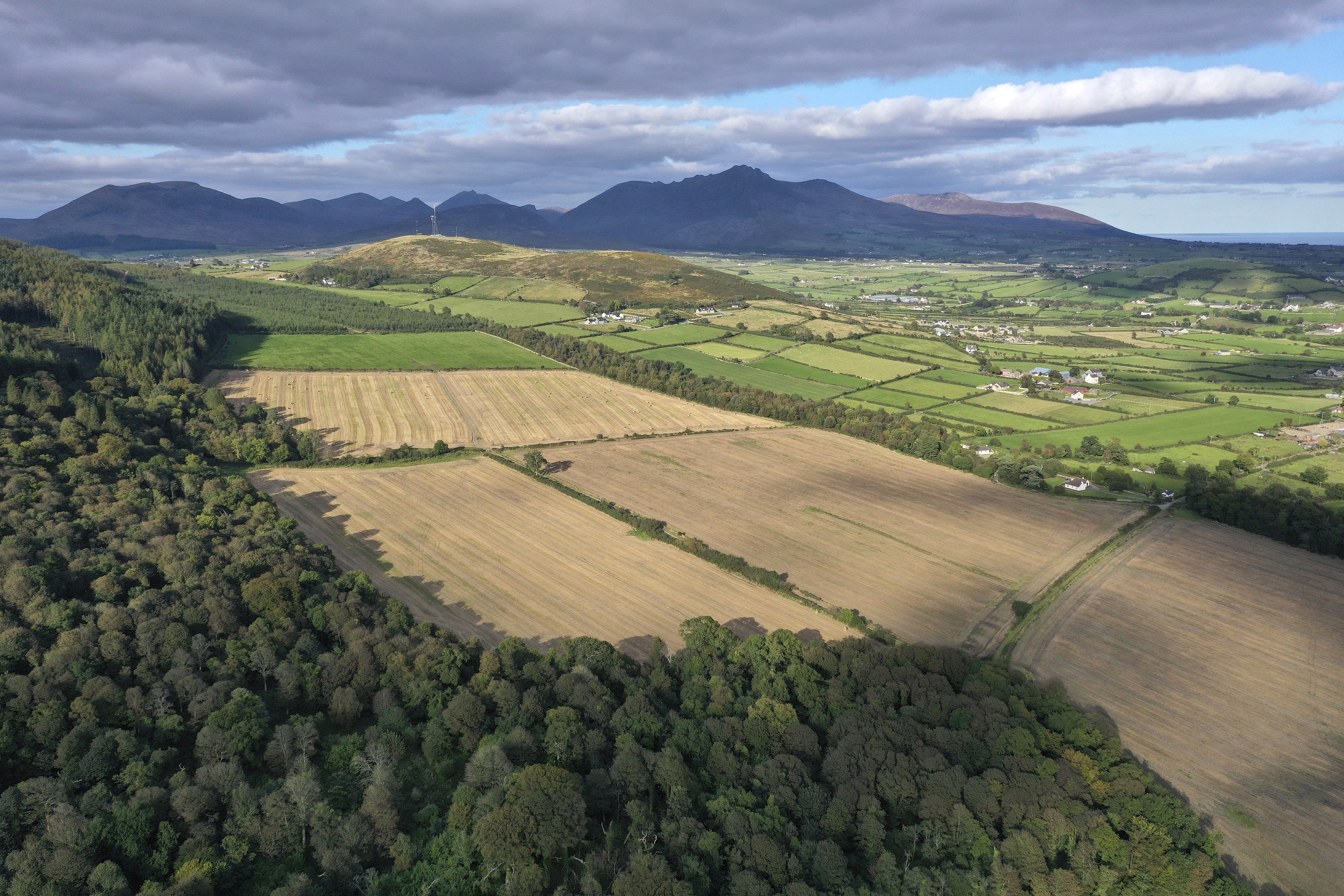 The Woodland Trust is hoping to purchase an additional 46 hectares of Mourne Park