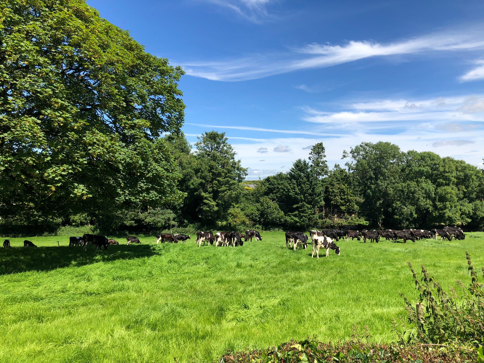 carlow-nationalist-widespread-anger-among-farming-communities-over