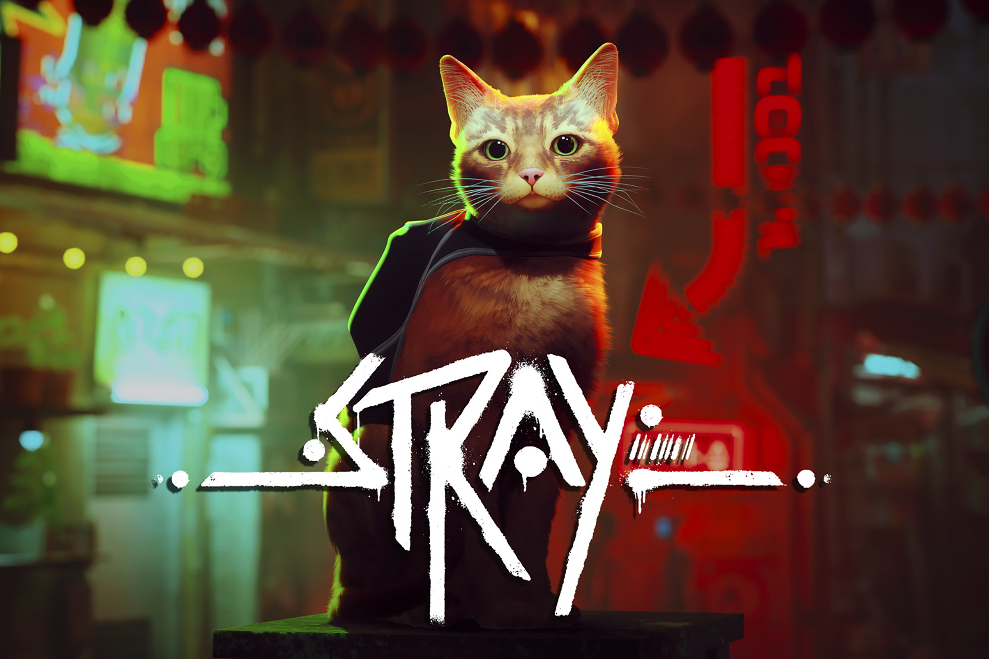 The Stray video game, developed by BlueTwelve Studio 
