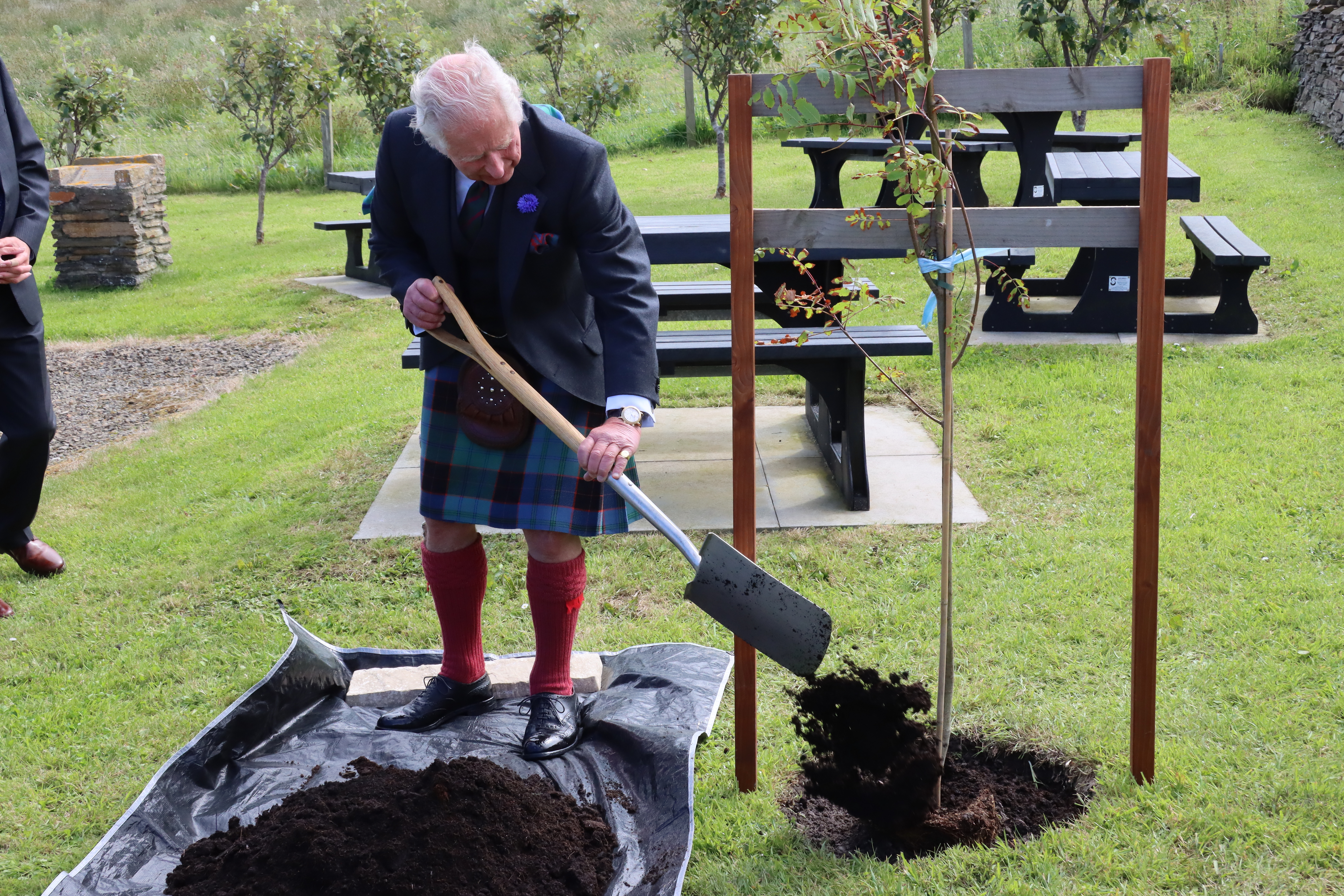 Charles planting a tree 