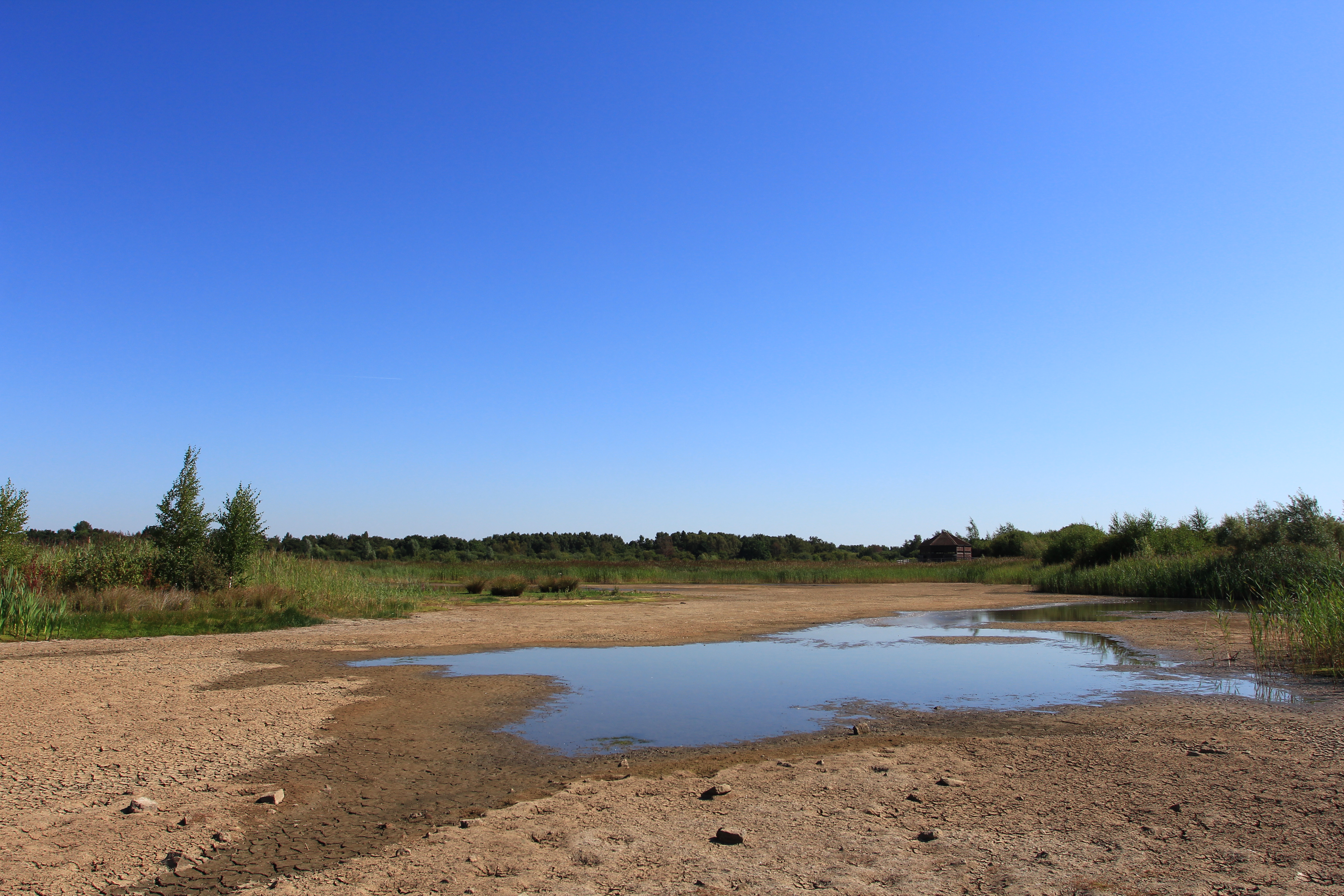 Huxterwell Marsh at Potteric Carr nature reserve near completely dry (Jim Horsfall/Widllife Trusts/PA)