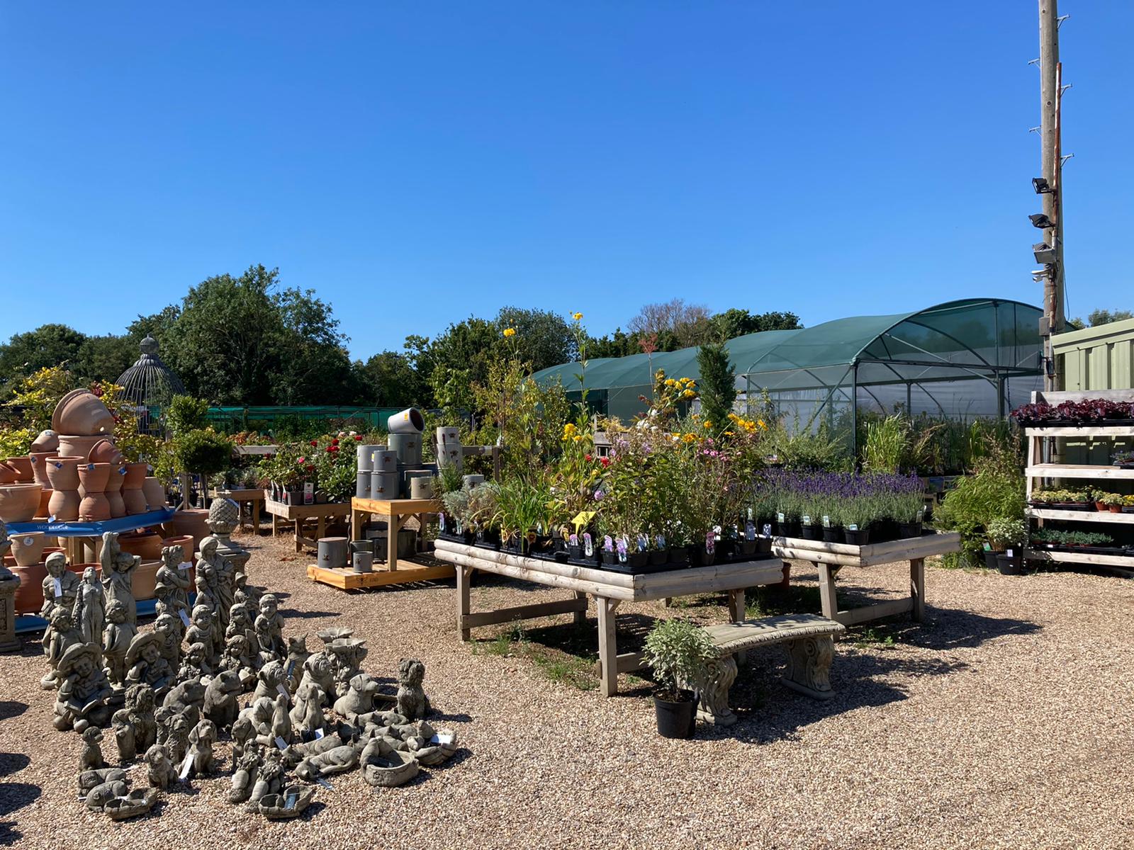 Pete Cook, manager of Chalcroft Nurseries near Bognor Regis is not surprised the town is one of the driest in England