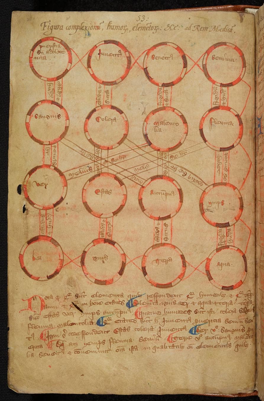 Diagnostic diagram linking a patient's age, temperament, the seasons and the elements, 14th century (The Master and Fellows of Trinity College, Cambridge/ PA)