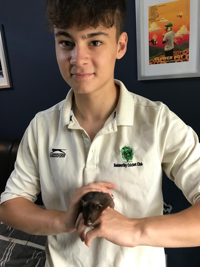 Boy holding hamster and wearing a white top