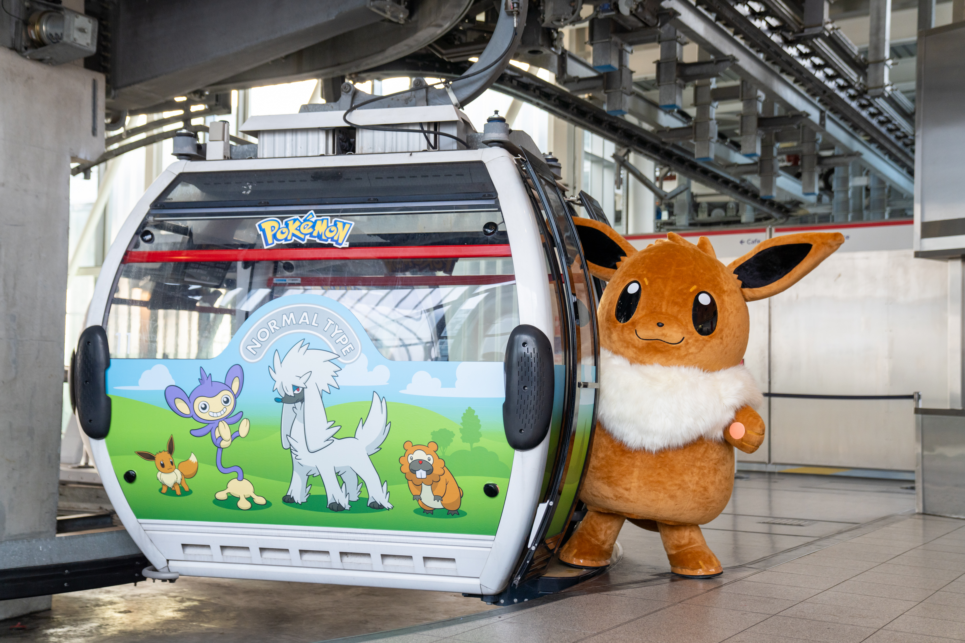Pokemon cable cars