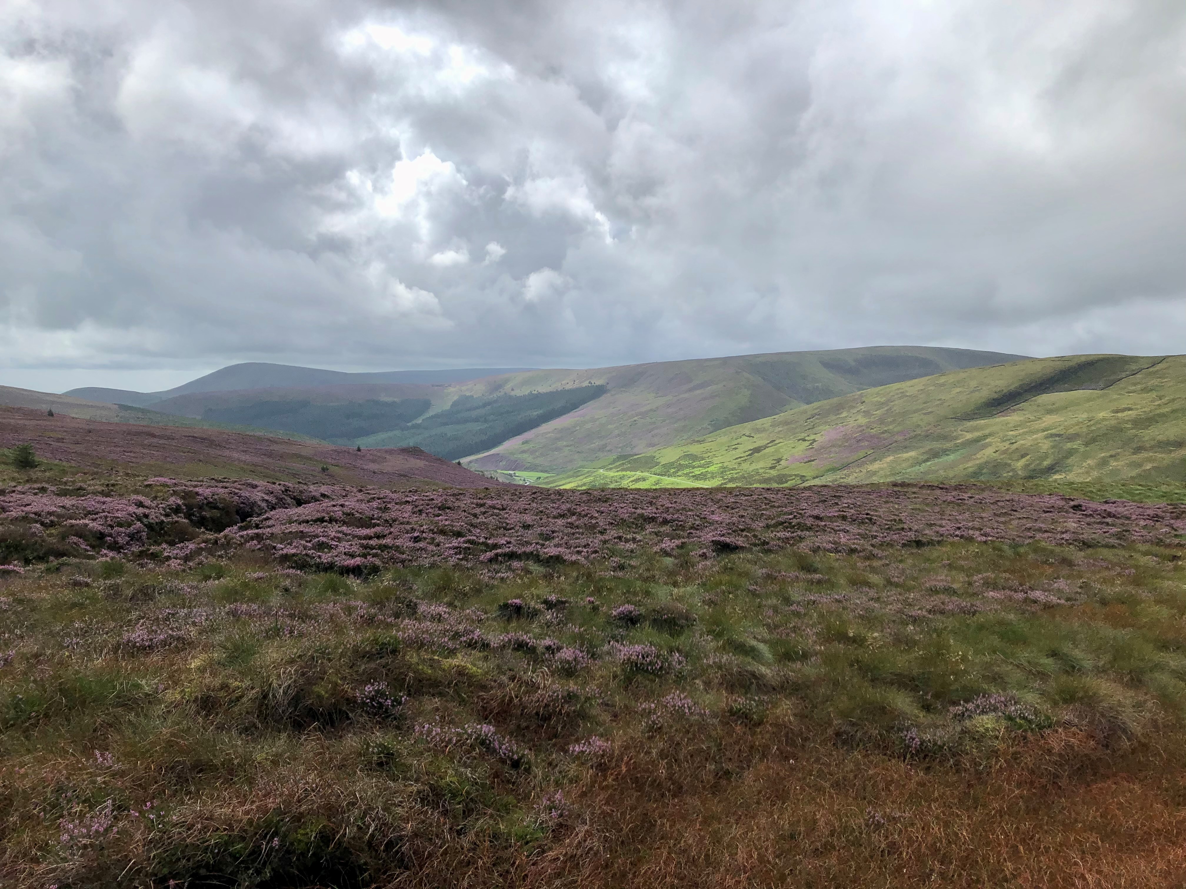 A view of Bowland, Lancashire