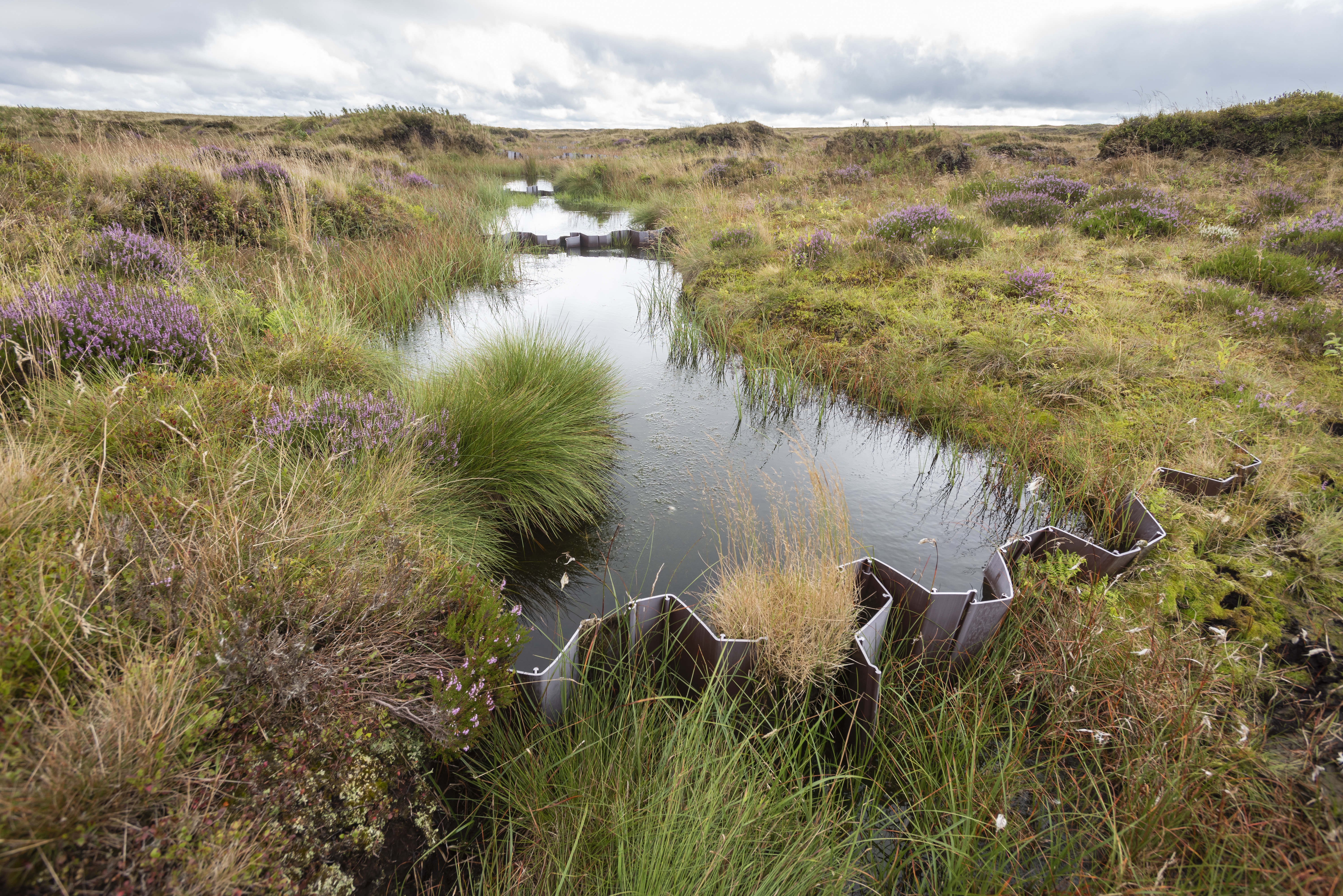 A blocked gully helping rewet the moor at Kinder Scout (Paul Harris/National Trust/PA)