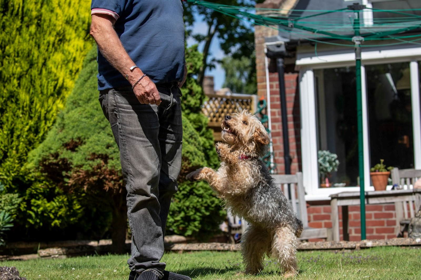 Bella with her new owners