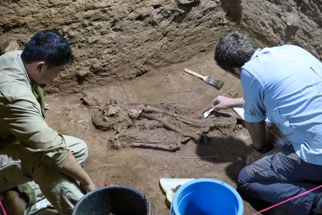 Evidence of earliest known limb amputation discovered in Borneo ...