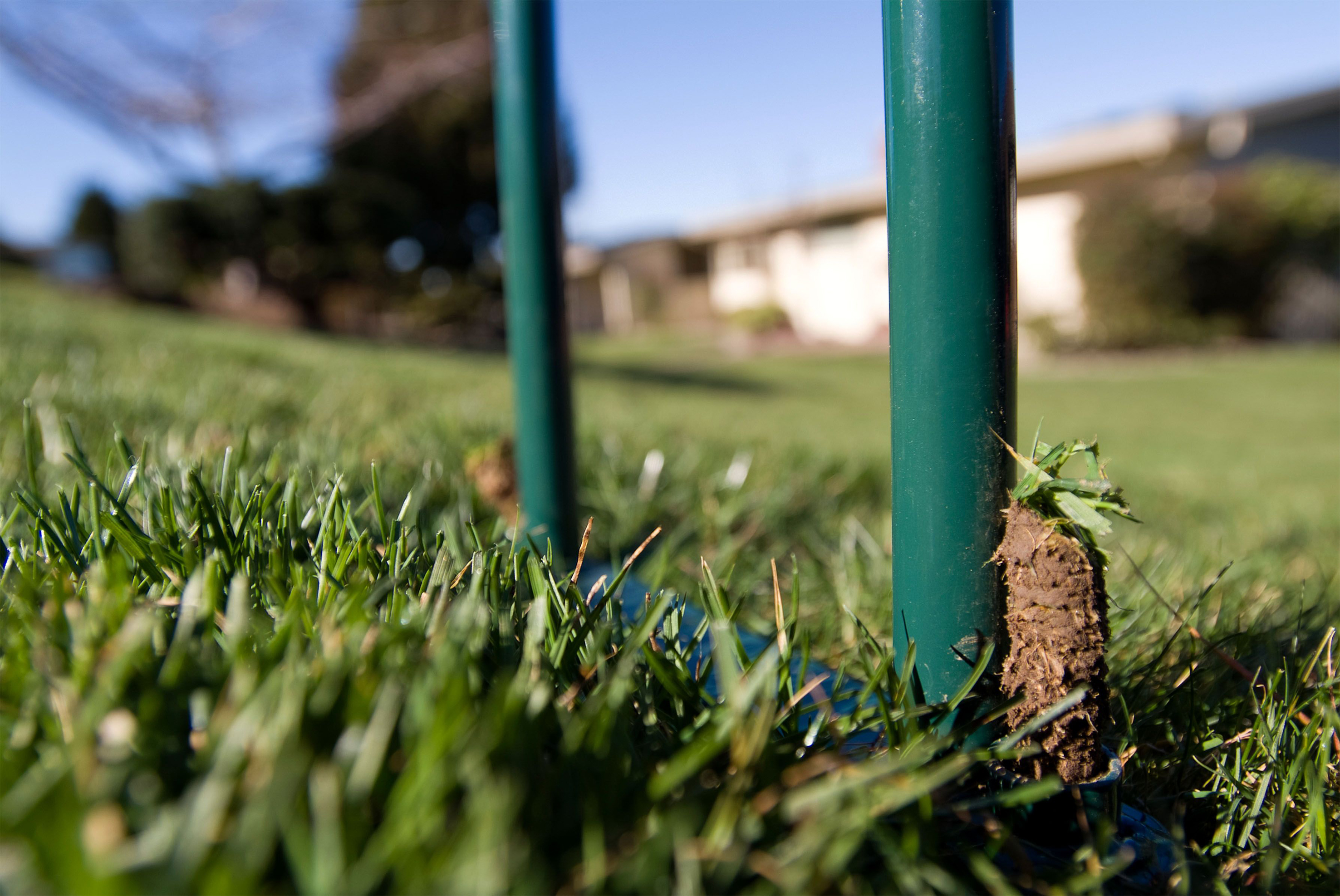 Manual lawn aerator penetrating the ground