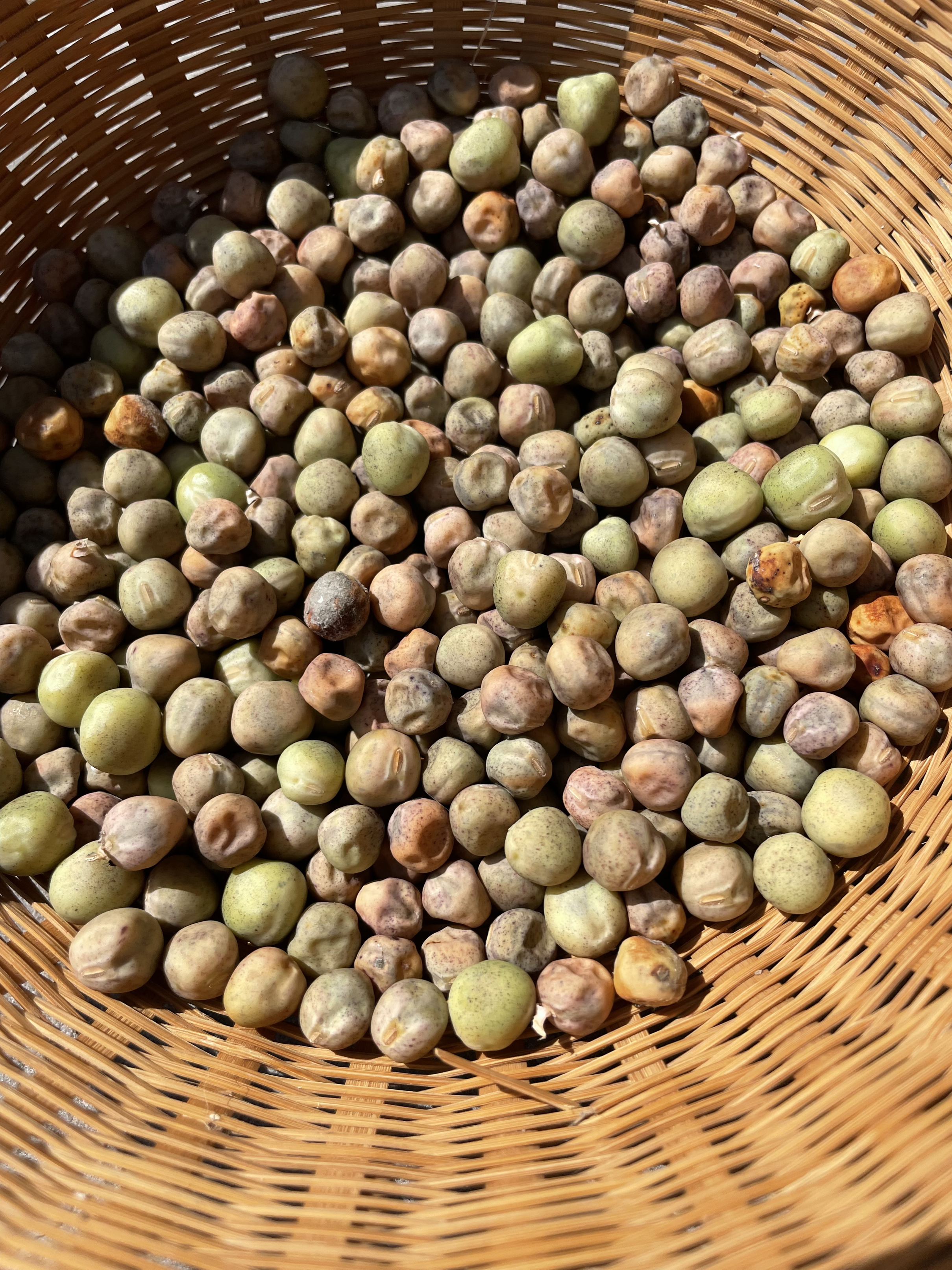 Shelled dry peas (Adam Alexander/PA)