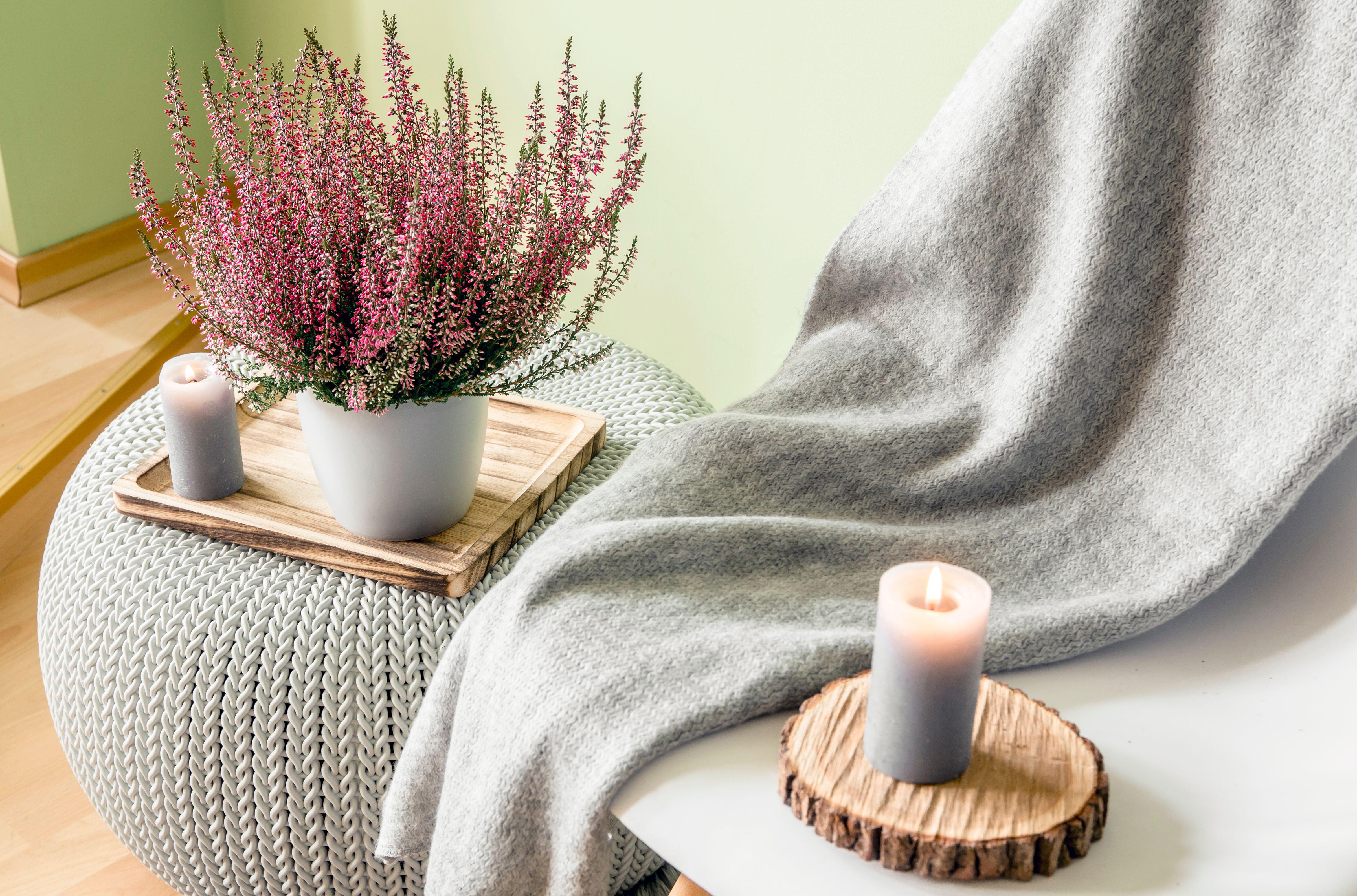 Candles near a blanket and plant
