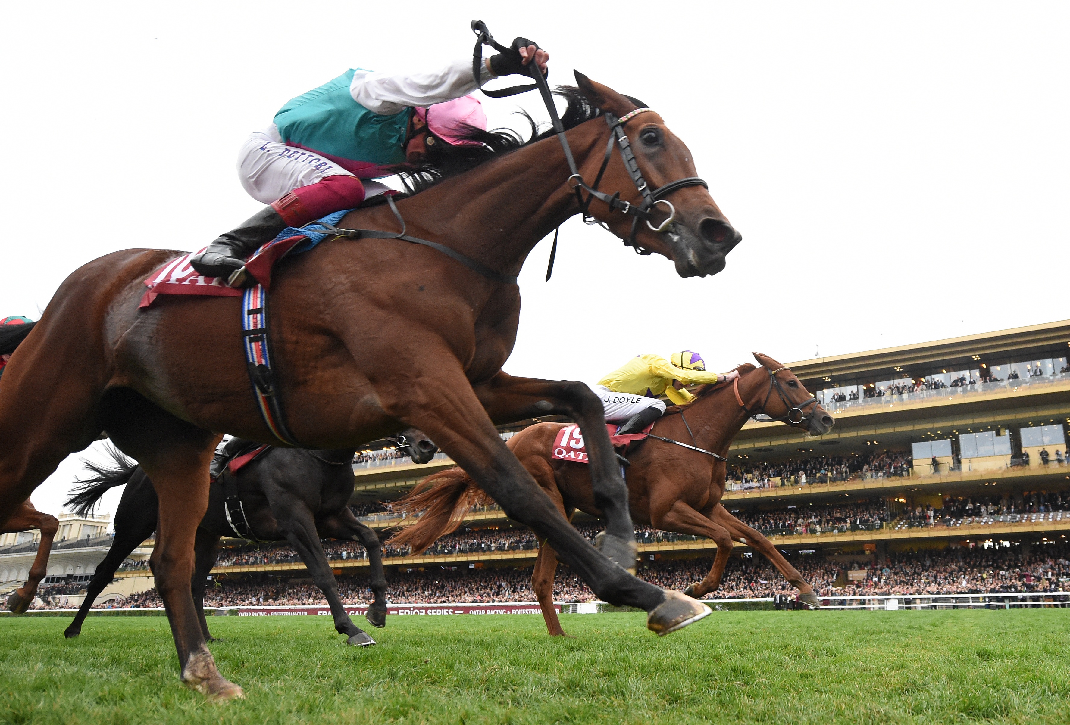 Enable (left) held the fast-finishing Sea Of Class in an epic Arc in 2018 