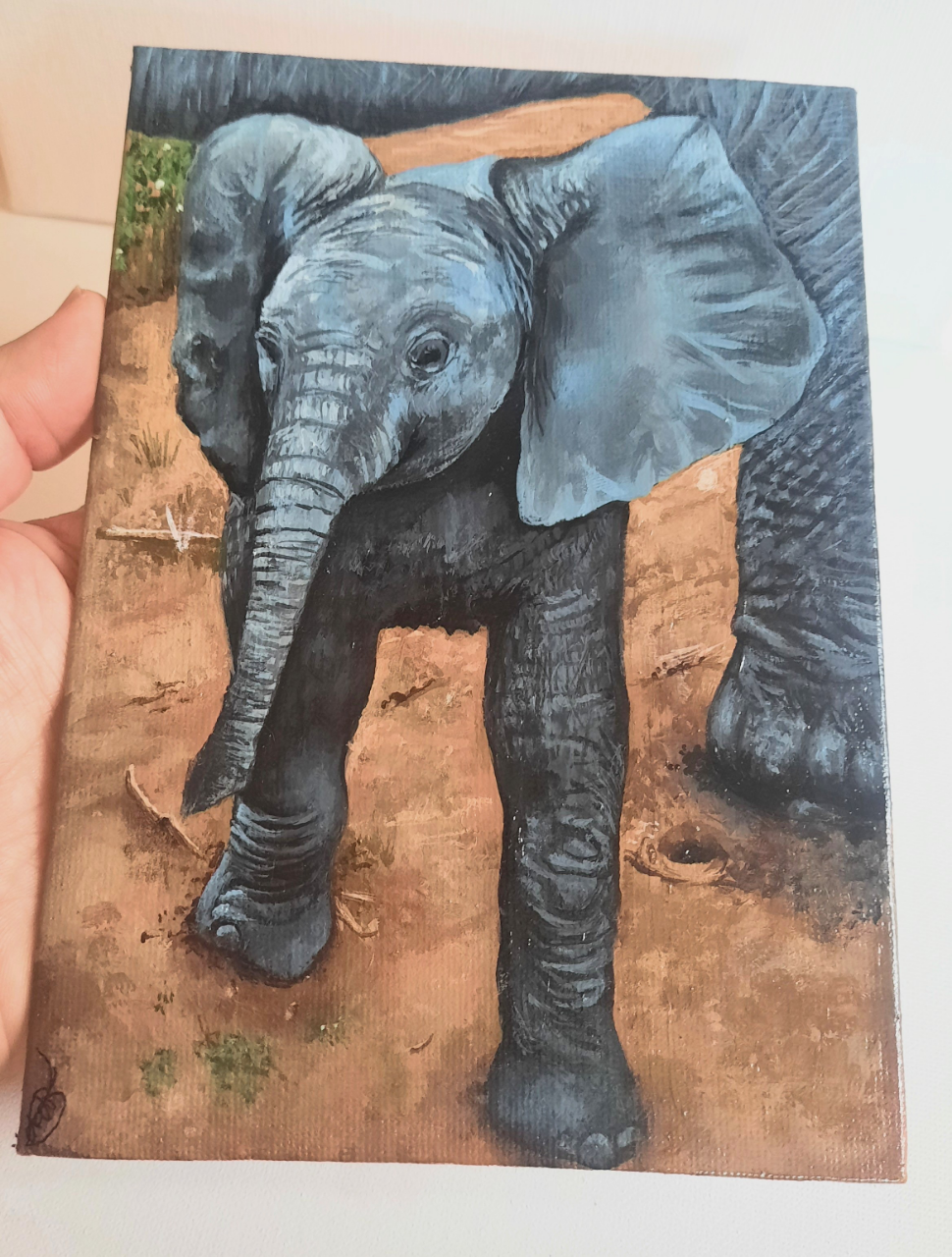 Anna Howard elephant