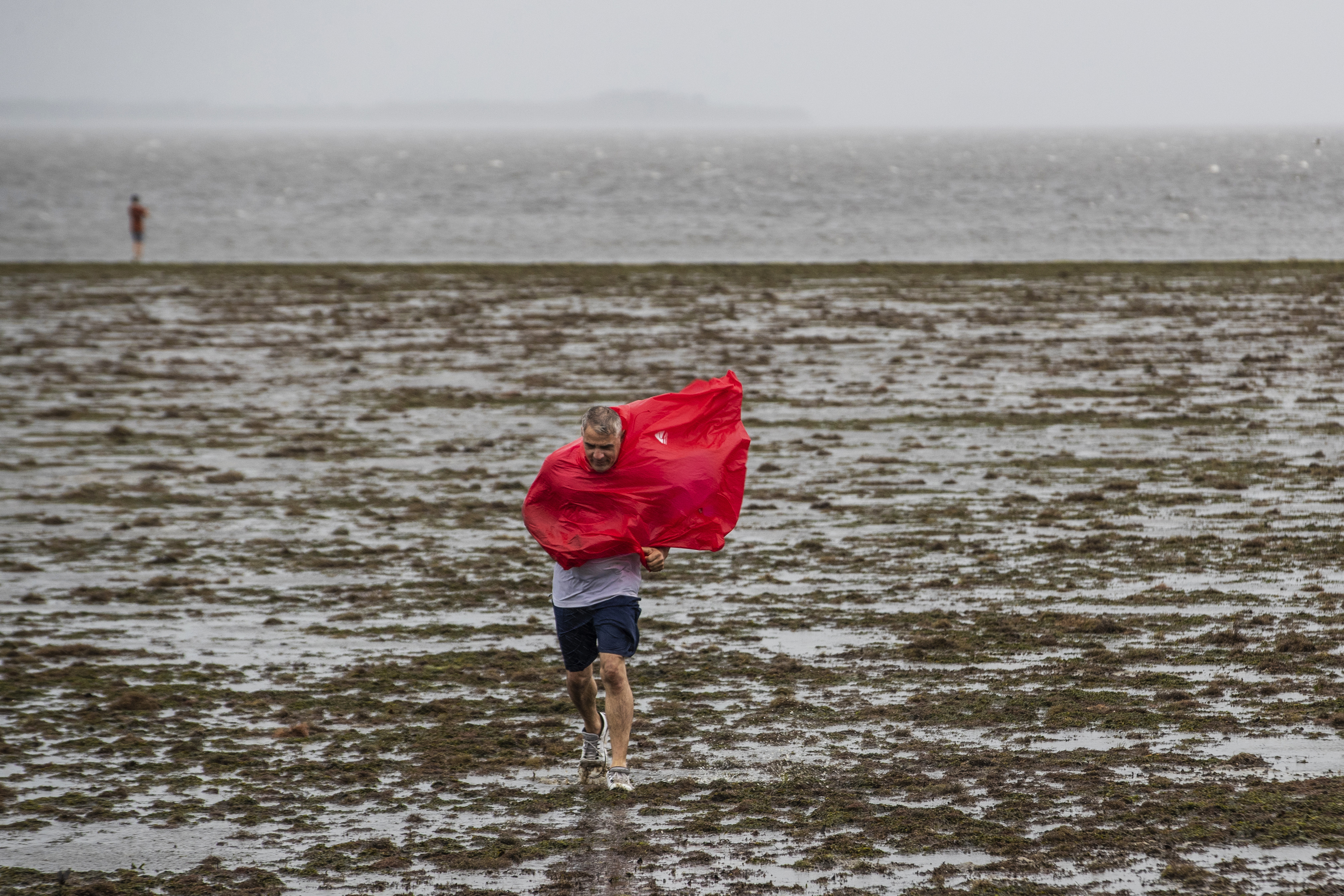 Curious sightseers were able to walk in the receding waters of Tampa Bay due to the low tide and tremendous winds from Hurricane Ian