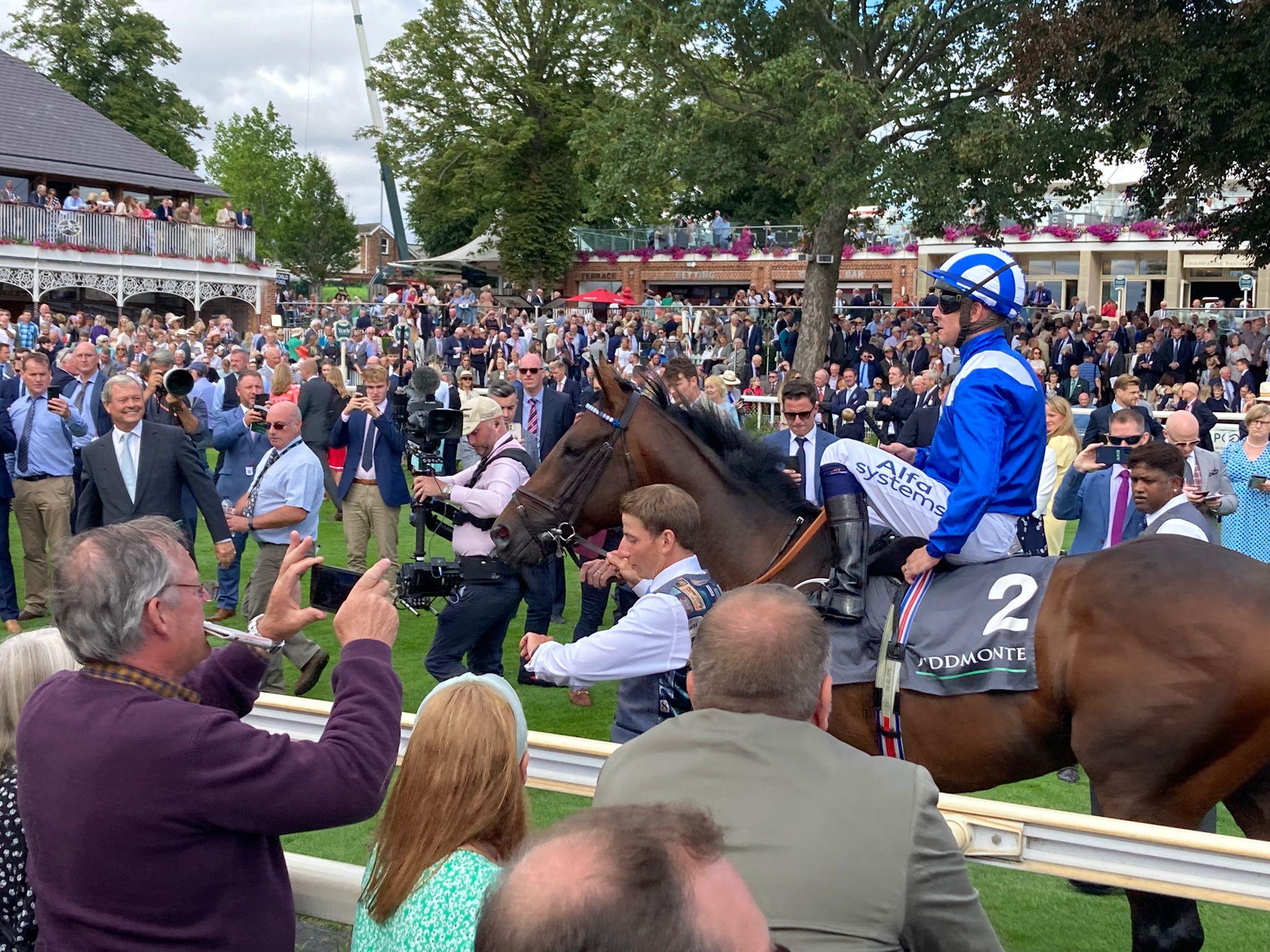 Baaeed was the centre of attention in the paddock before the Juddmonte International